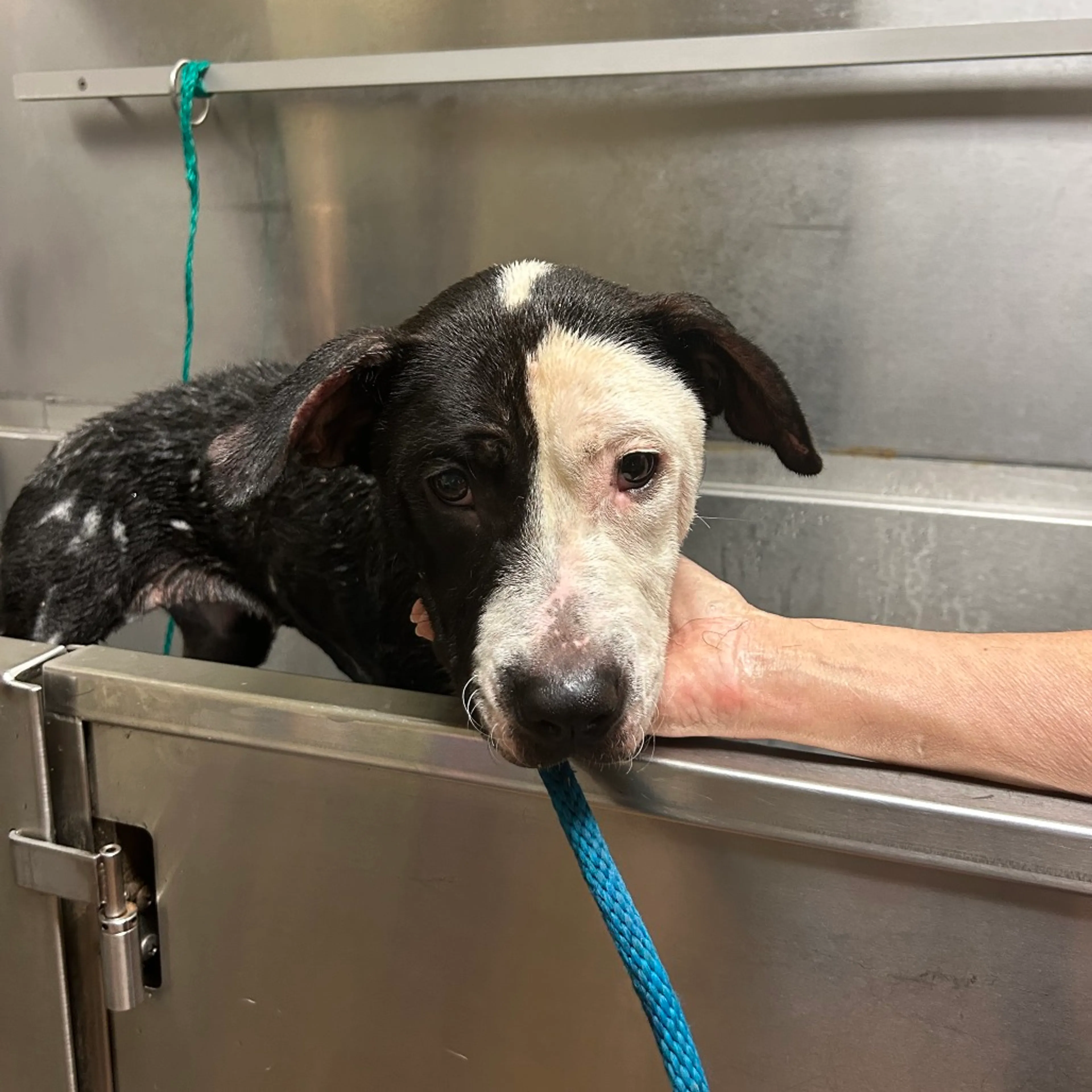 -2