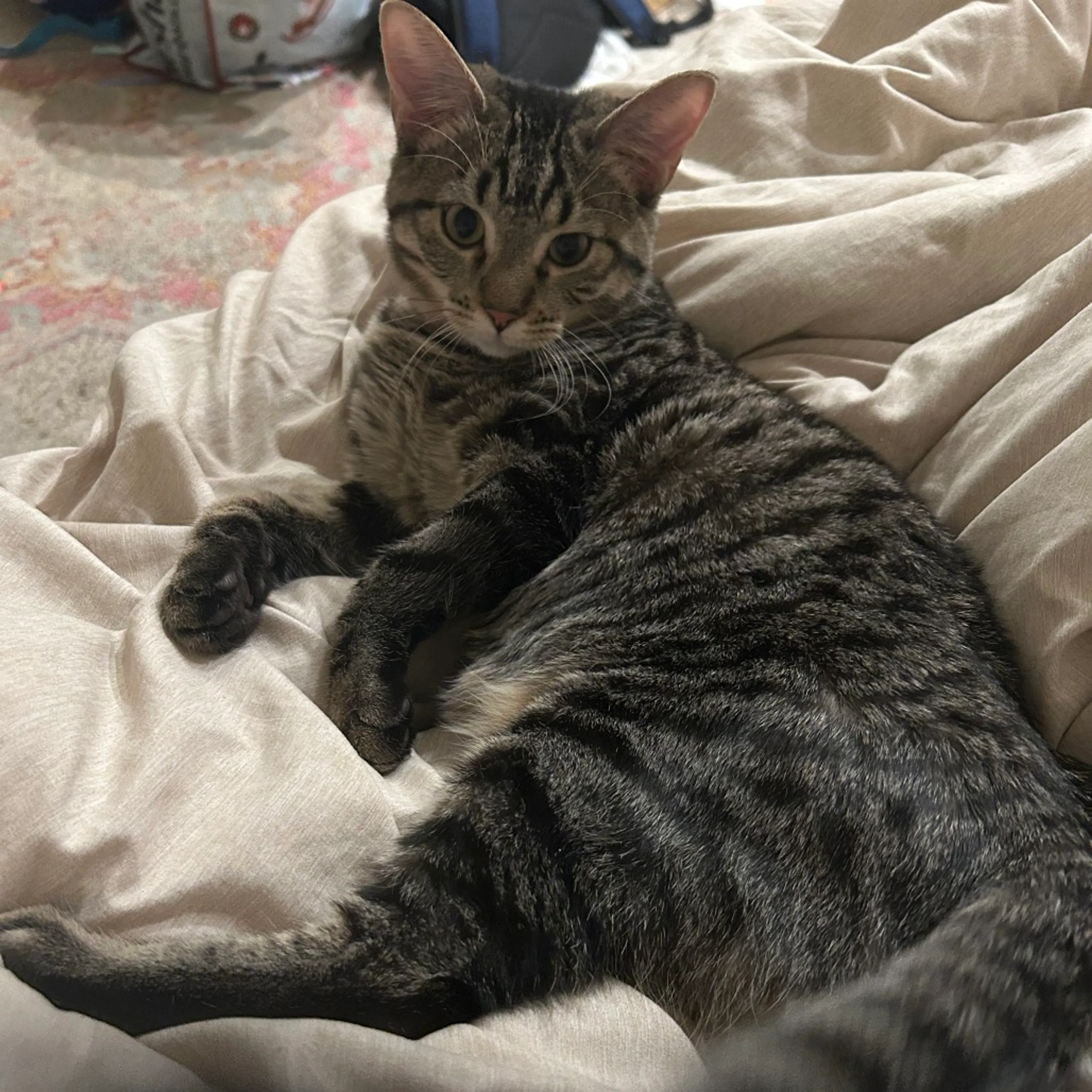 -0