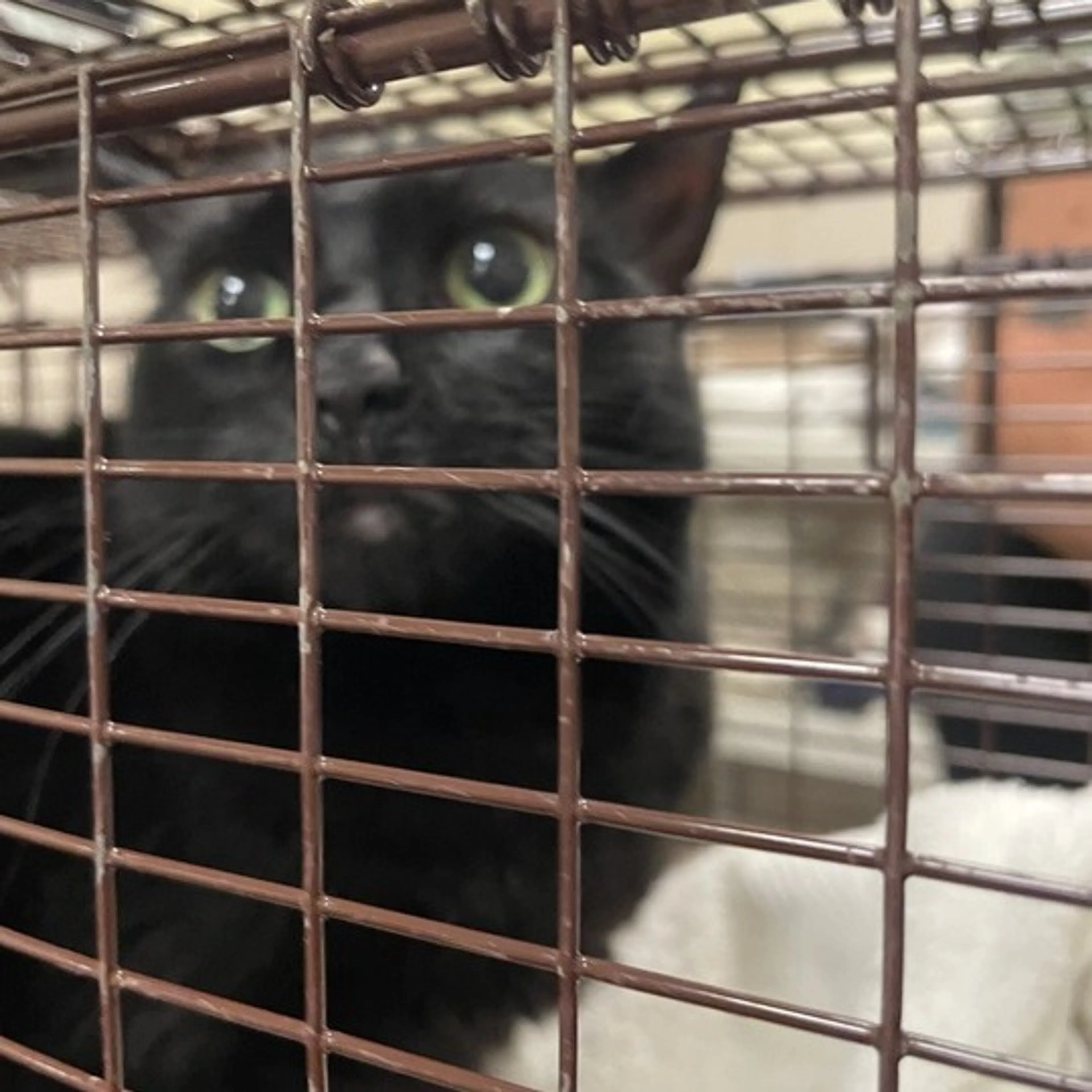 -1