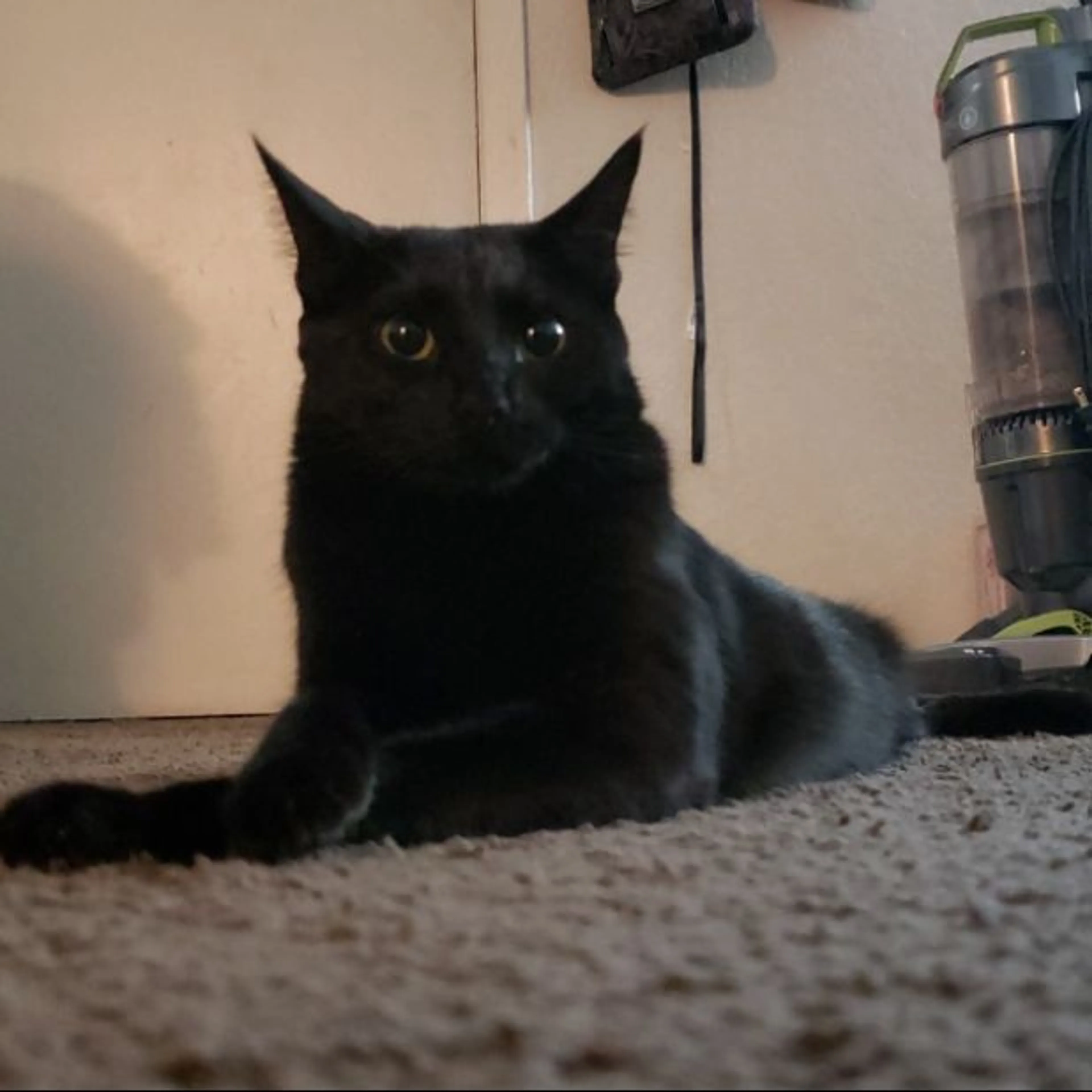 -0