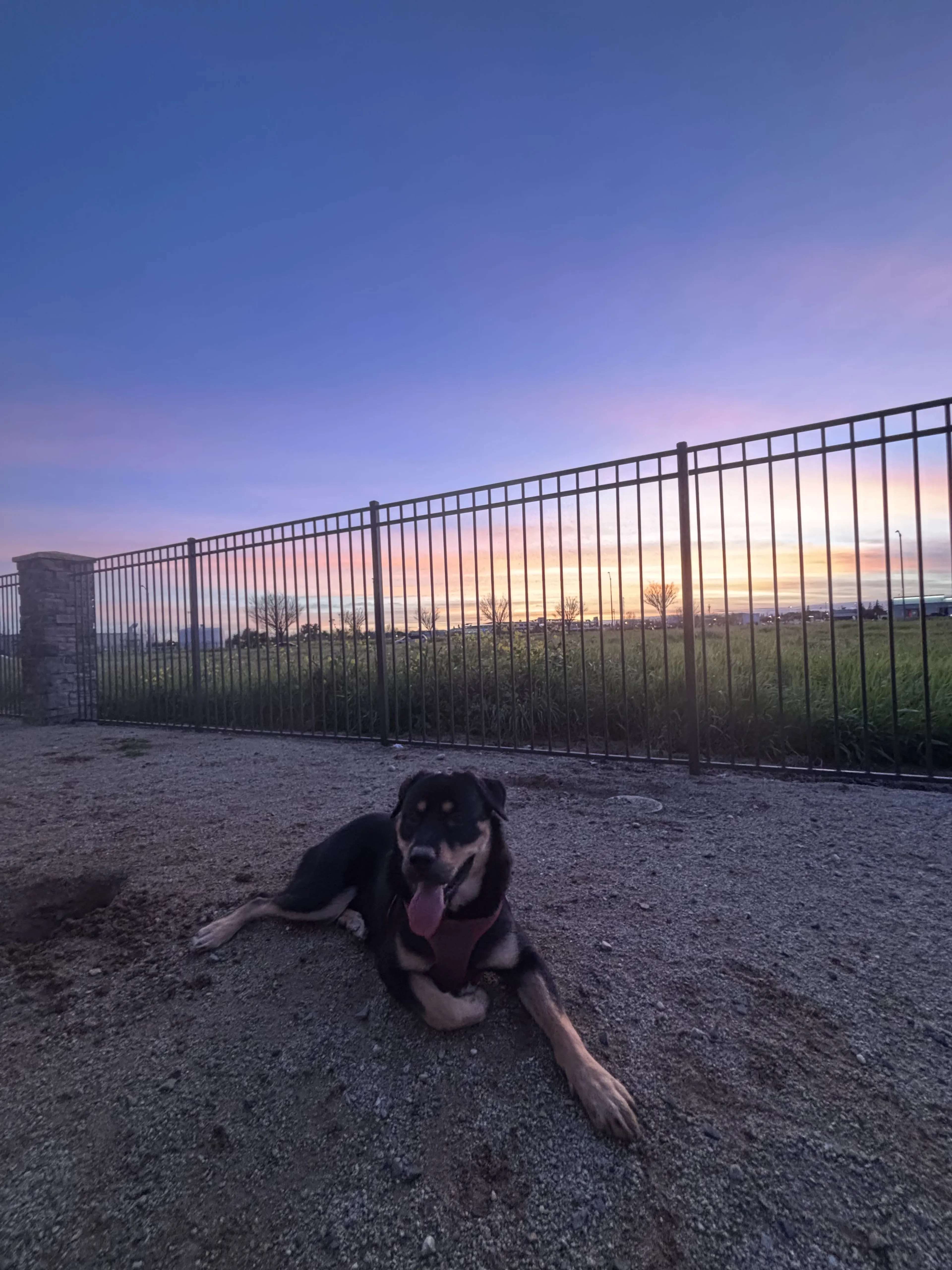 -1
