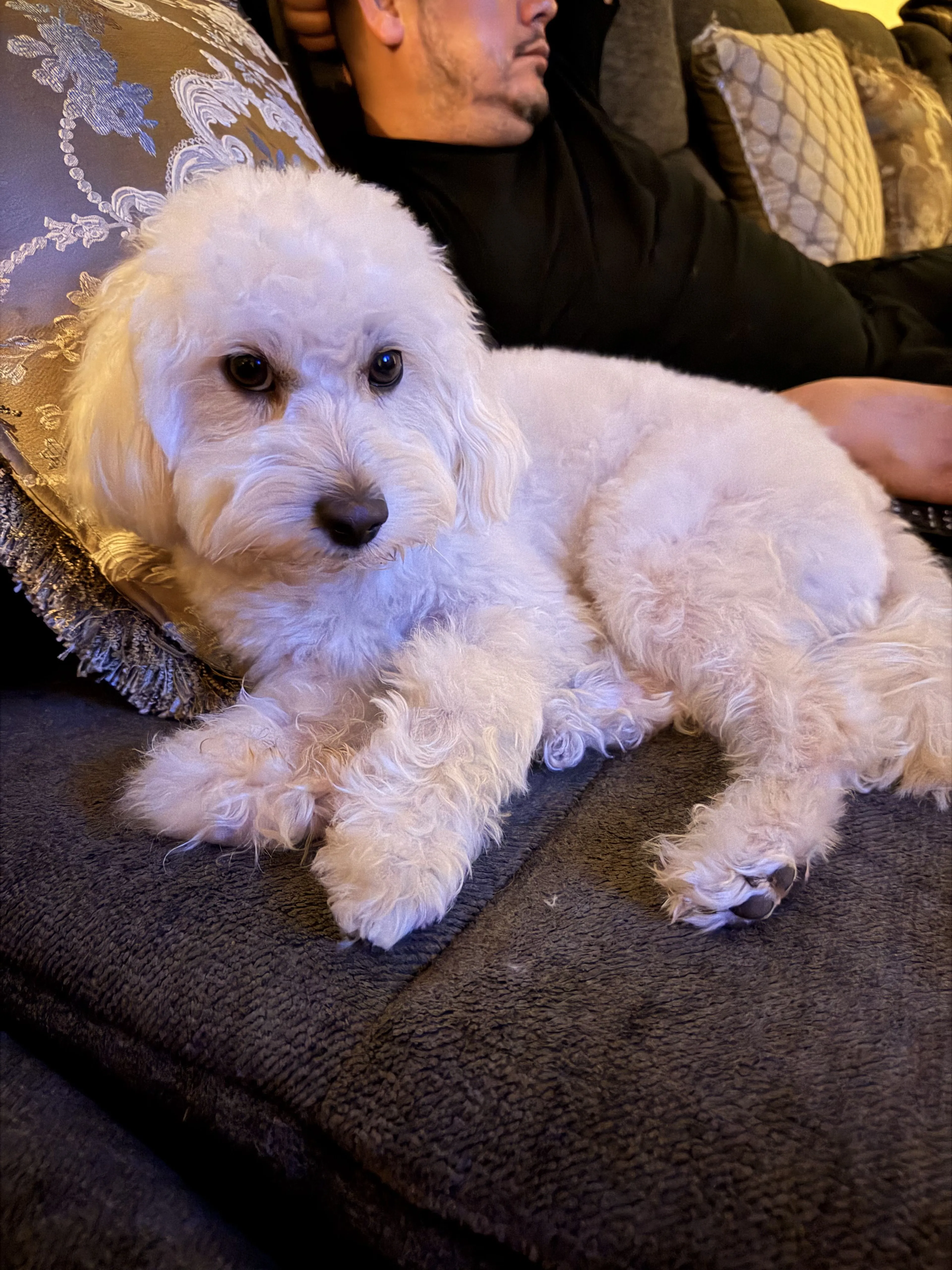 -4