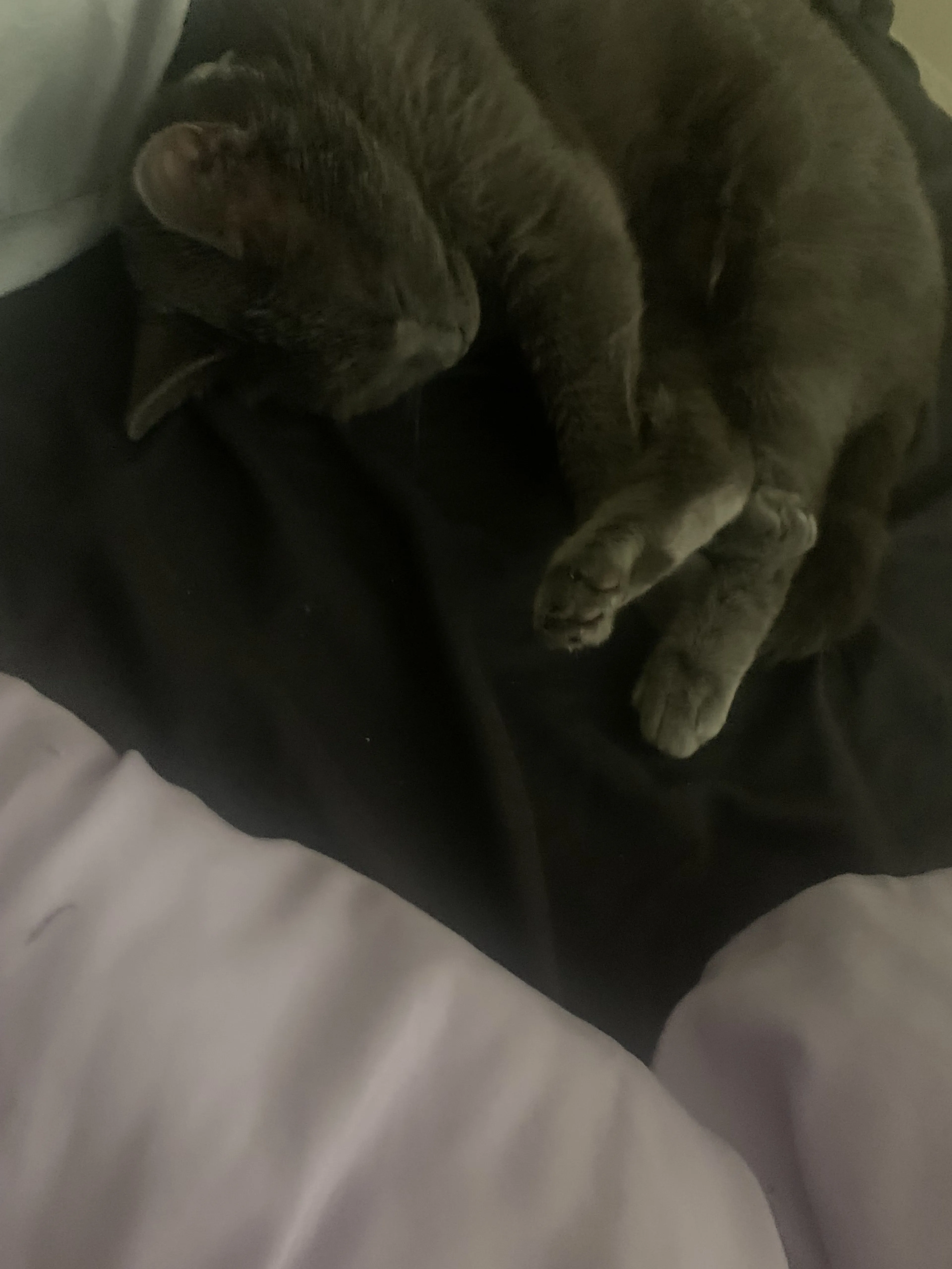 -2