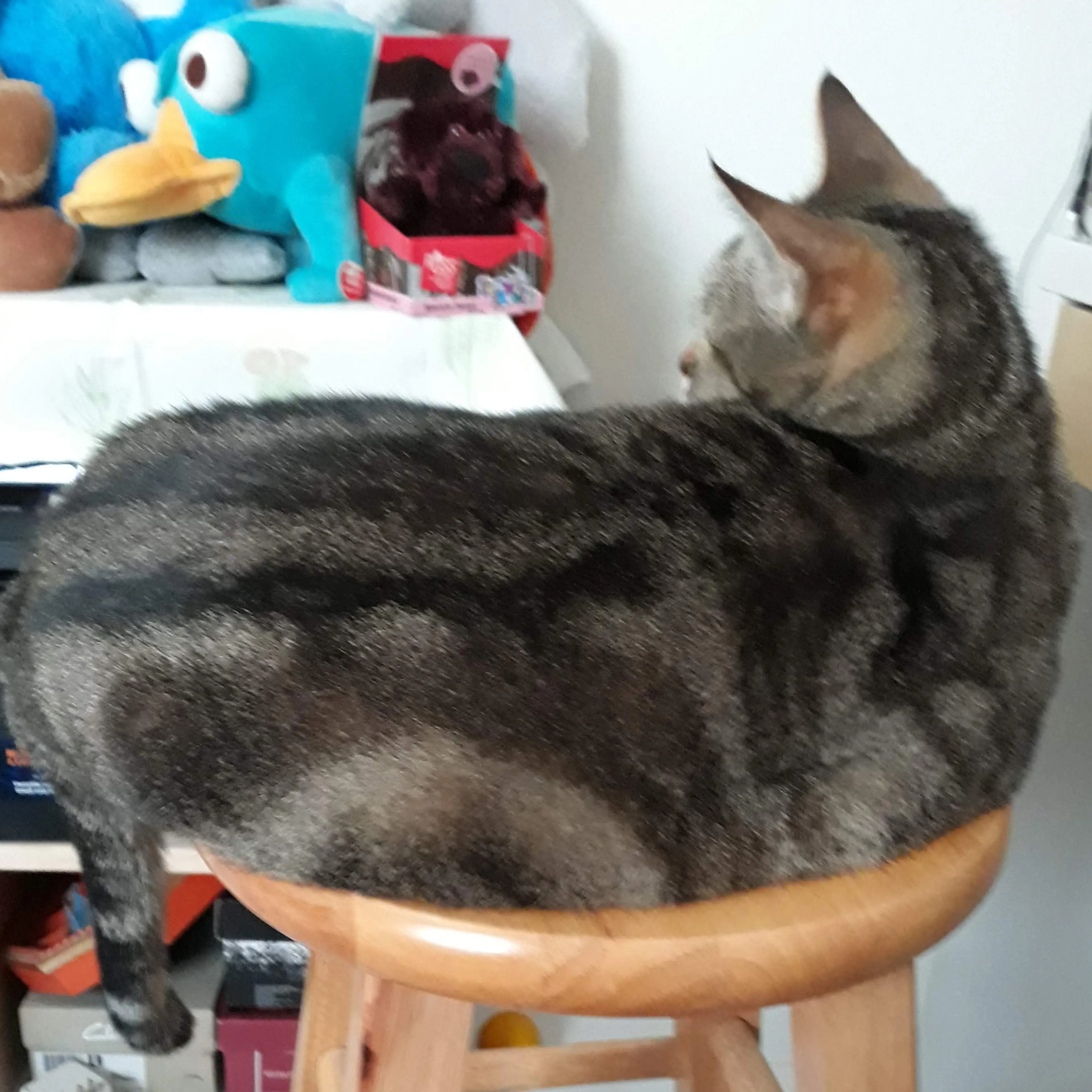 -1