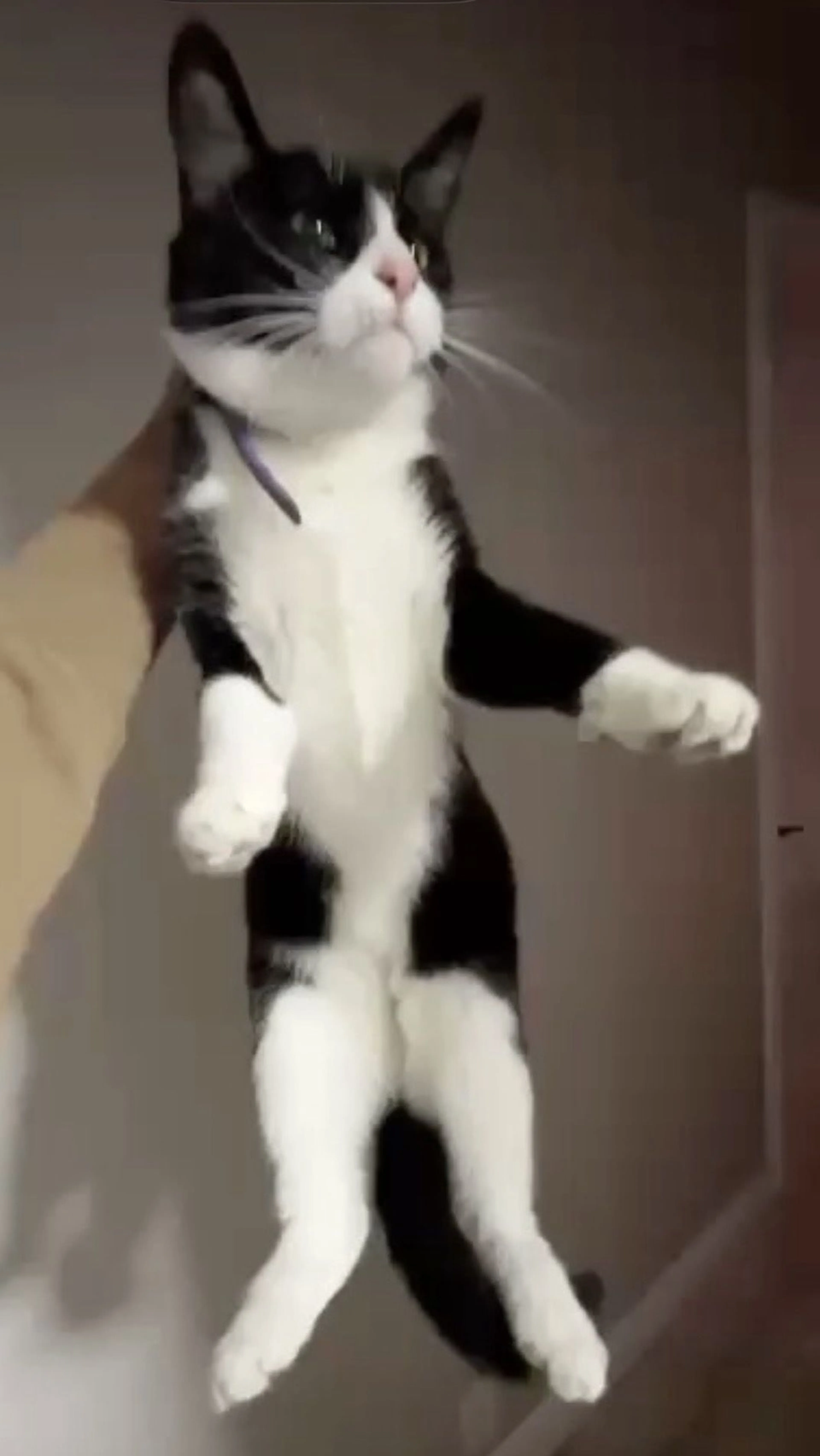 -3