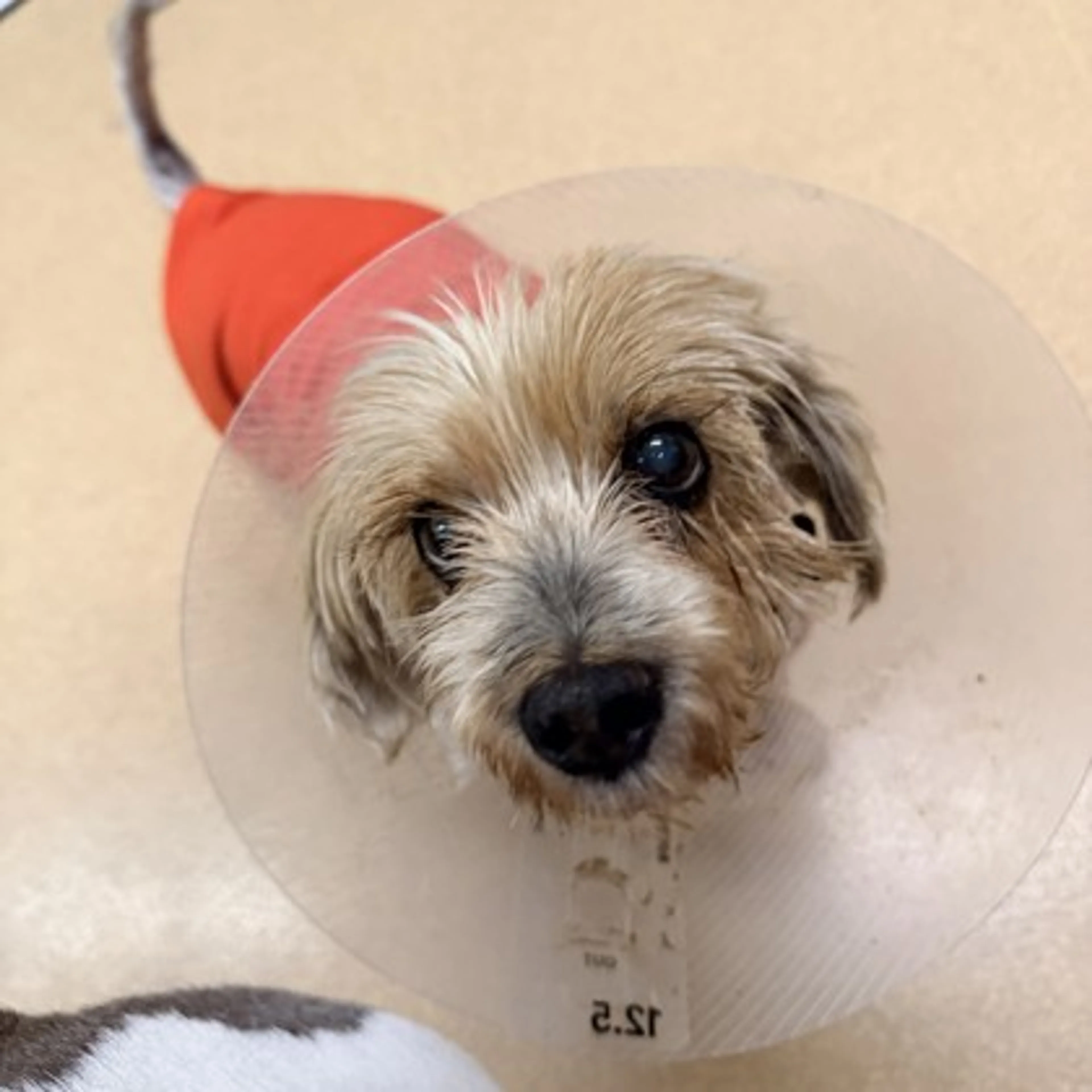 -1