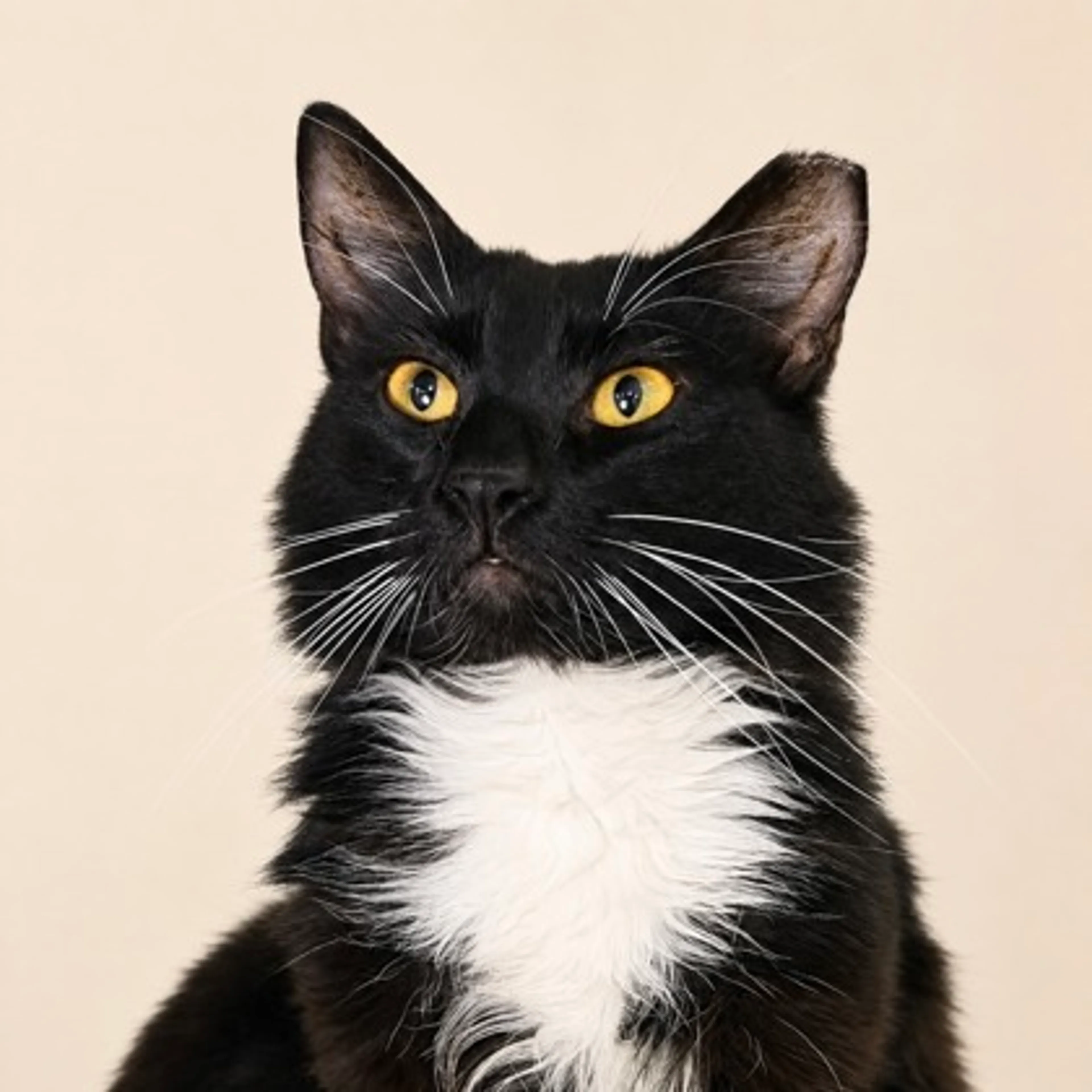 -1
