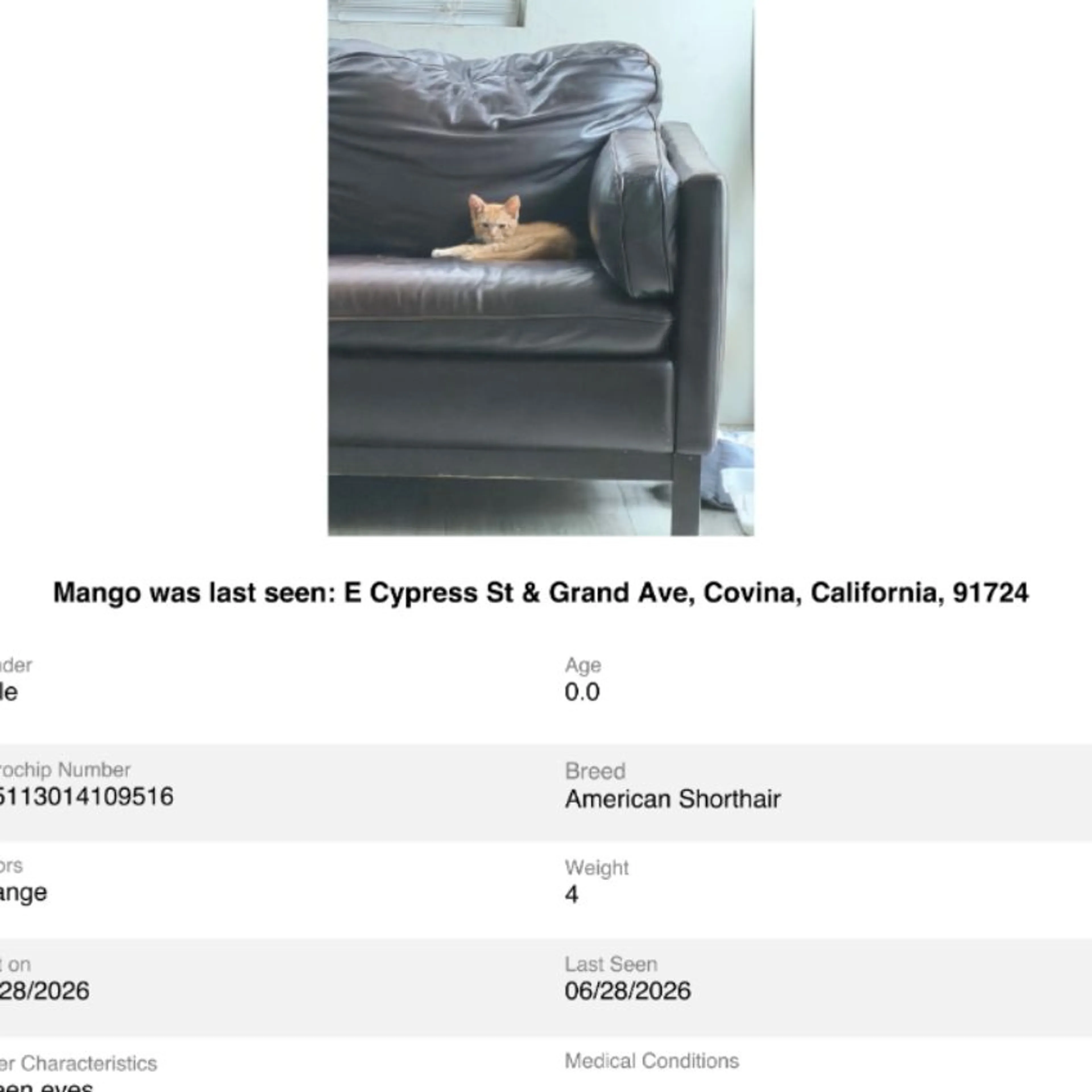 cdn image