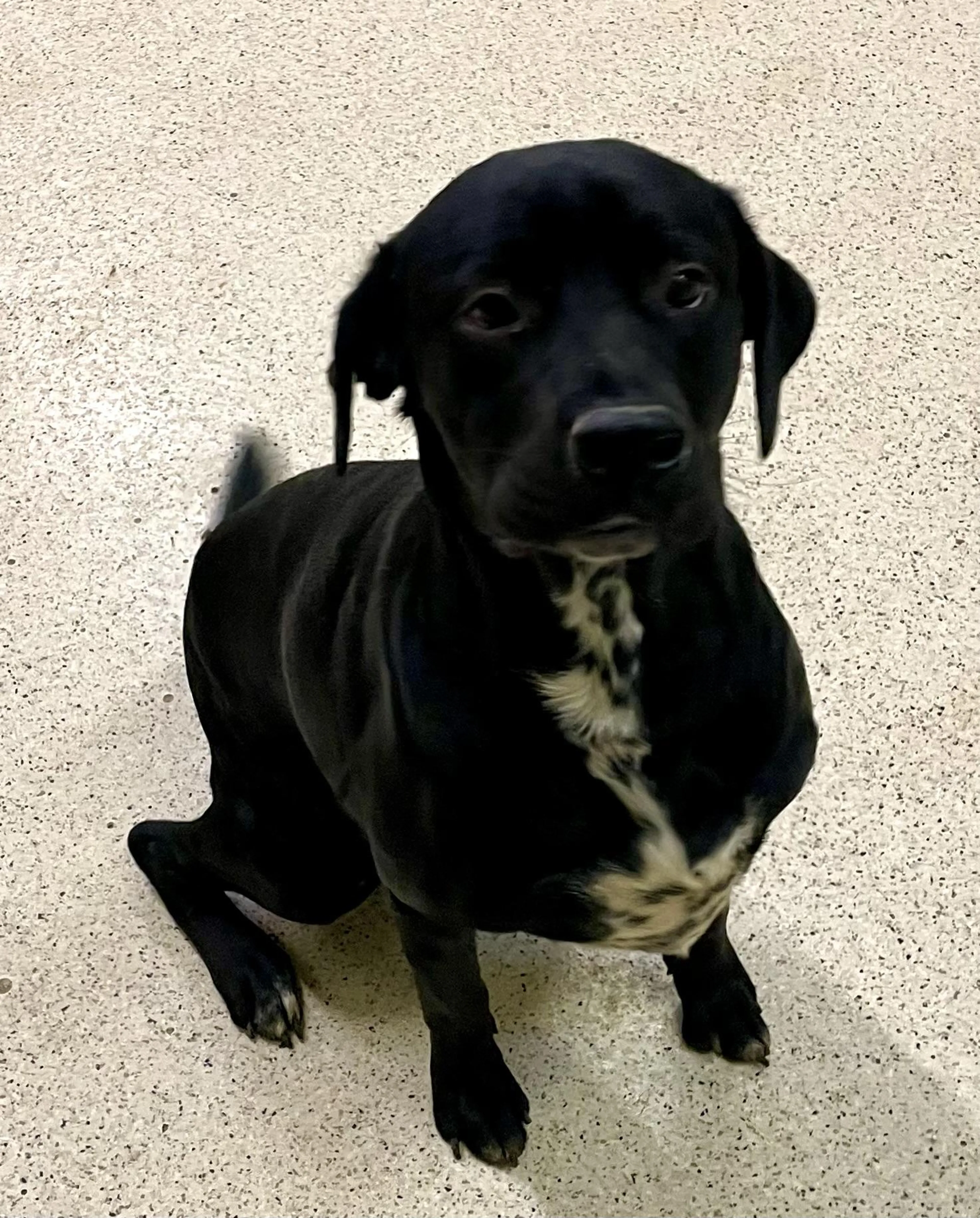 -1