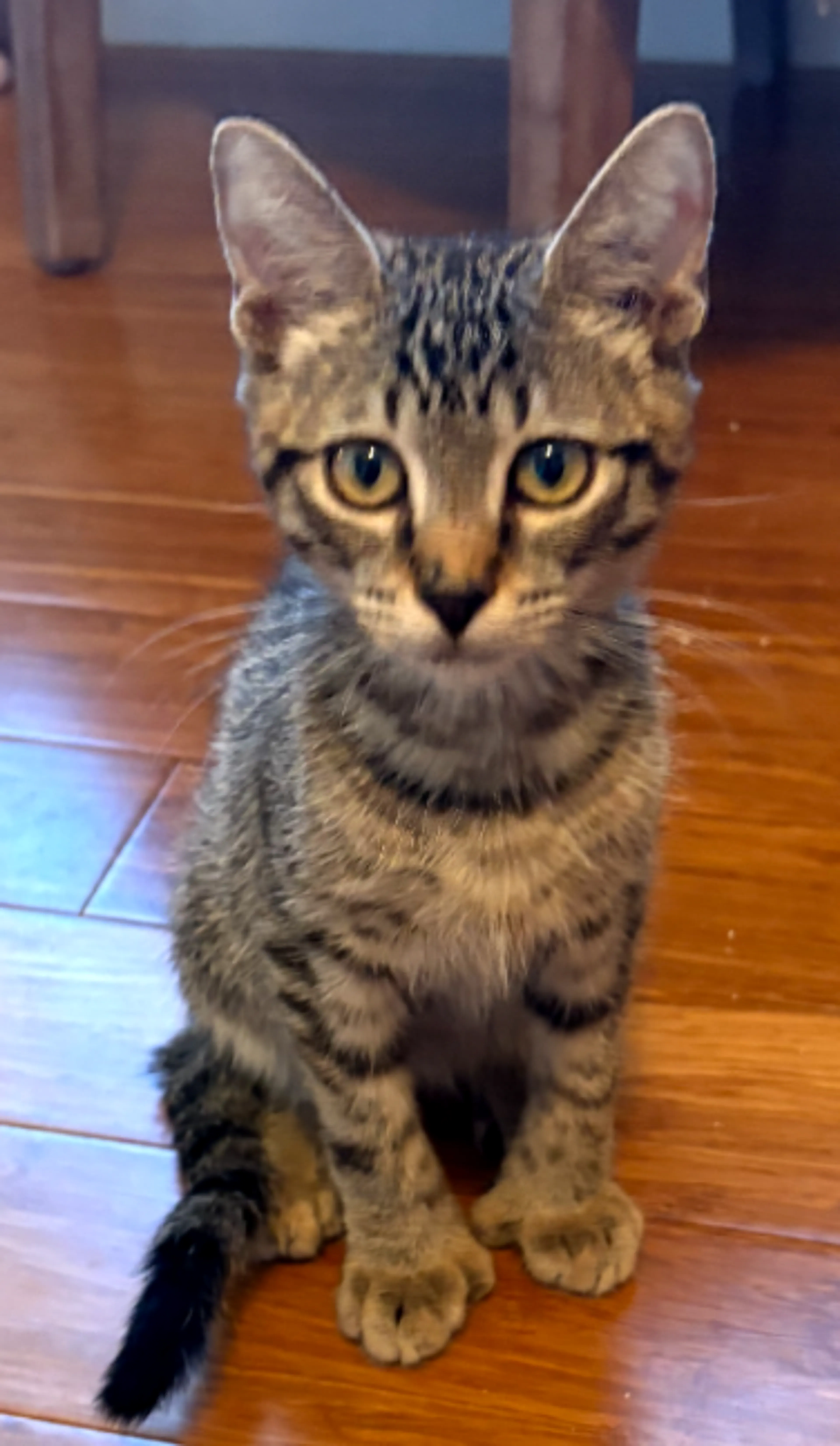 -0