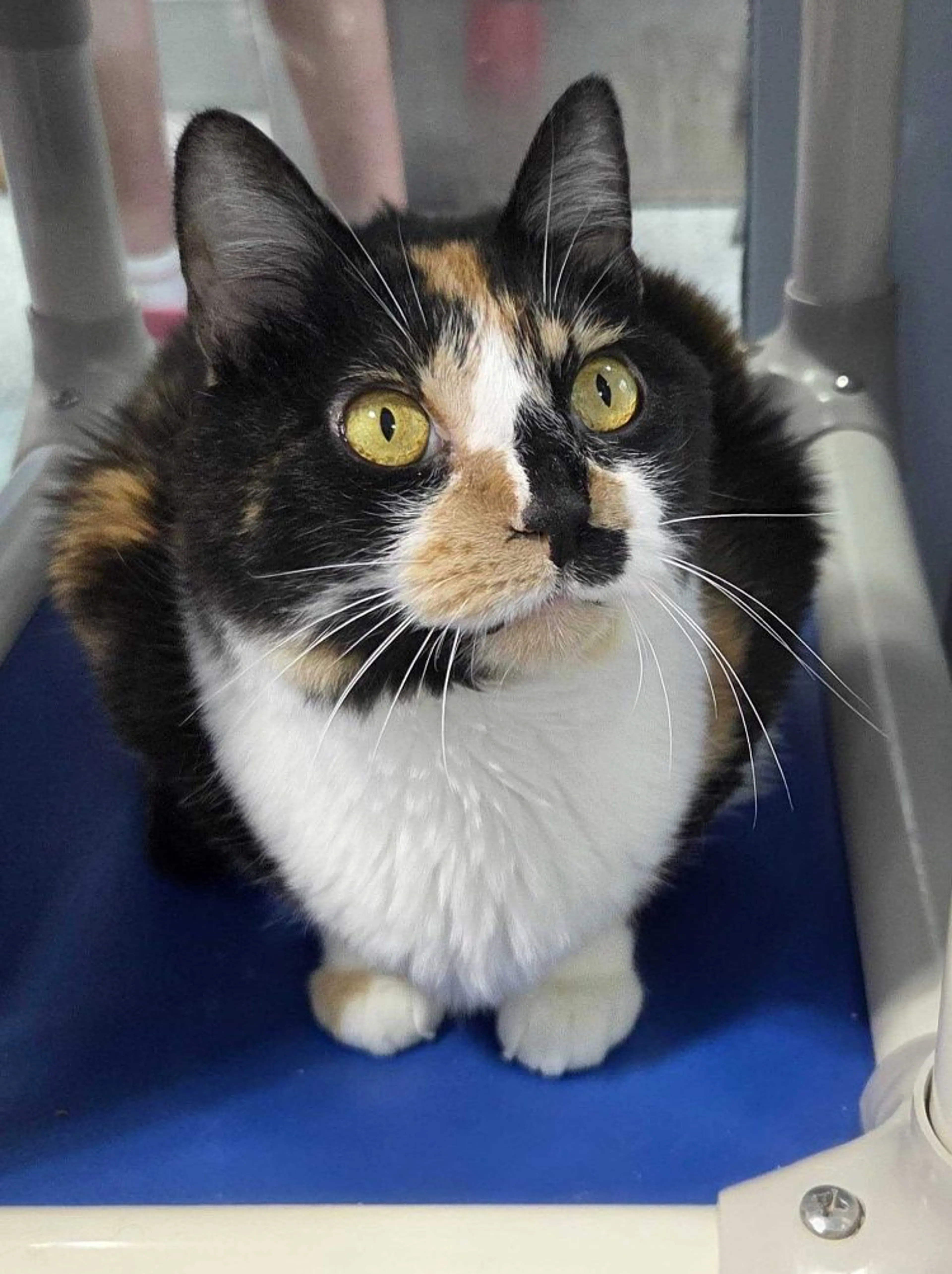 -0