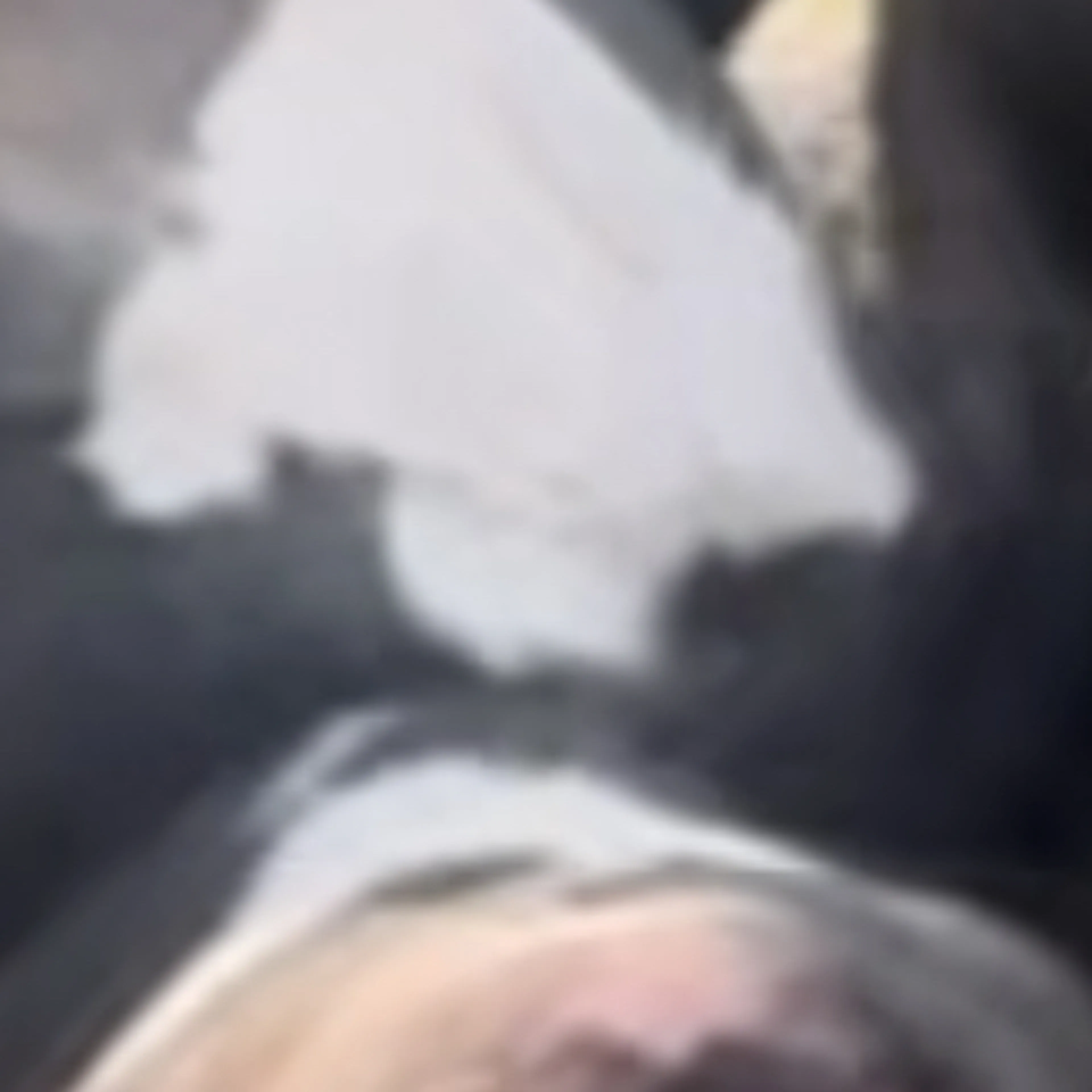 -3