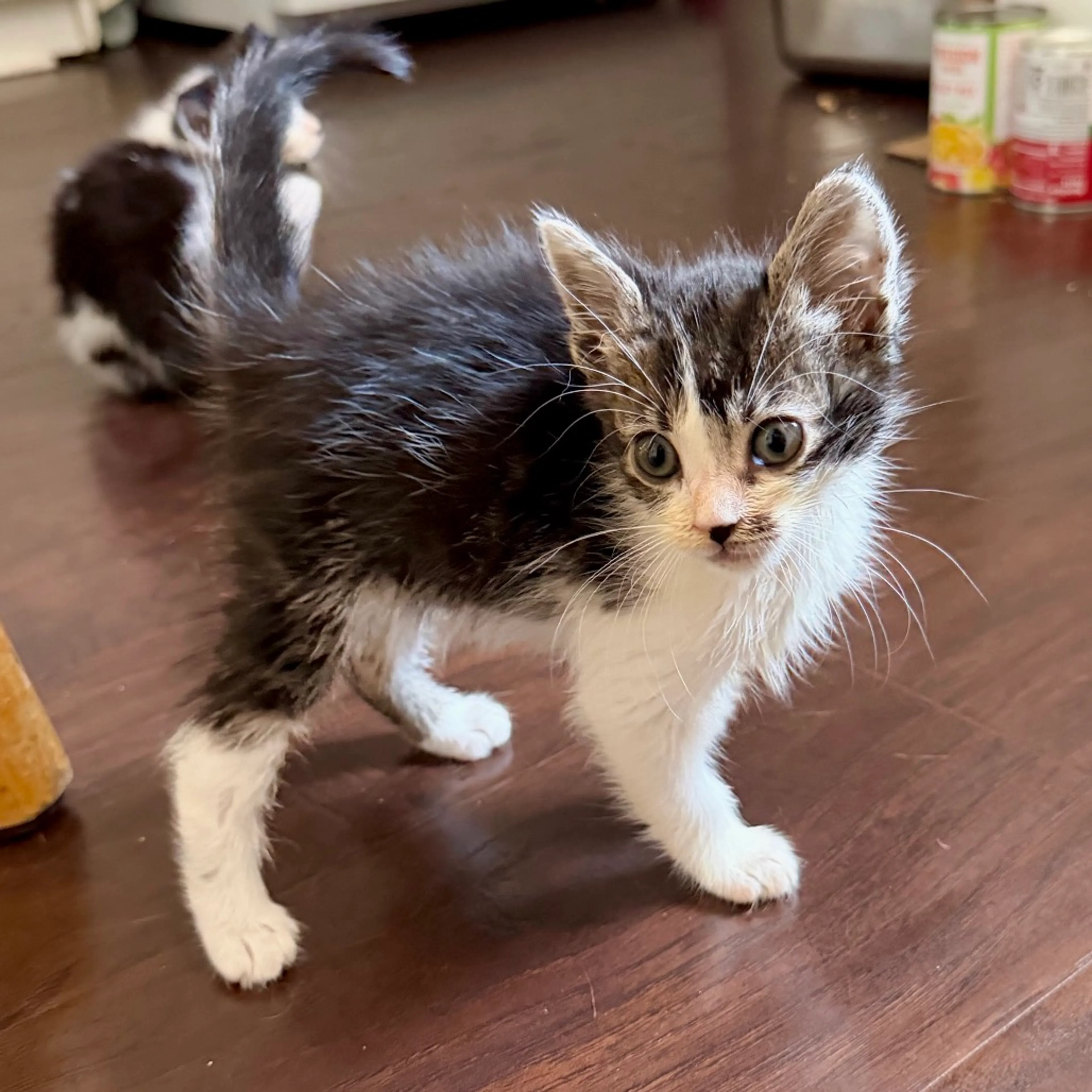 -6