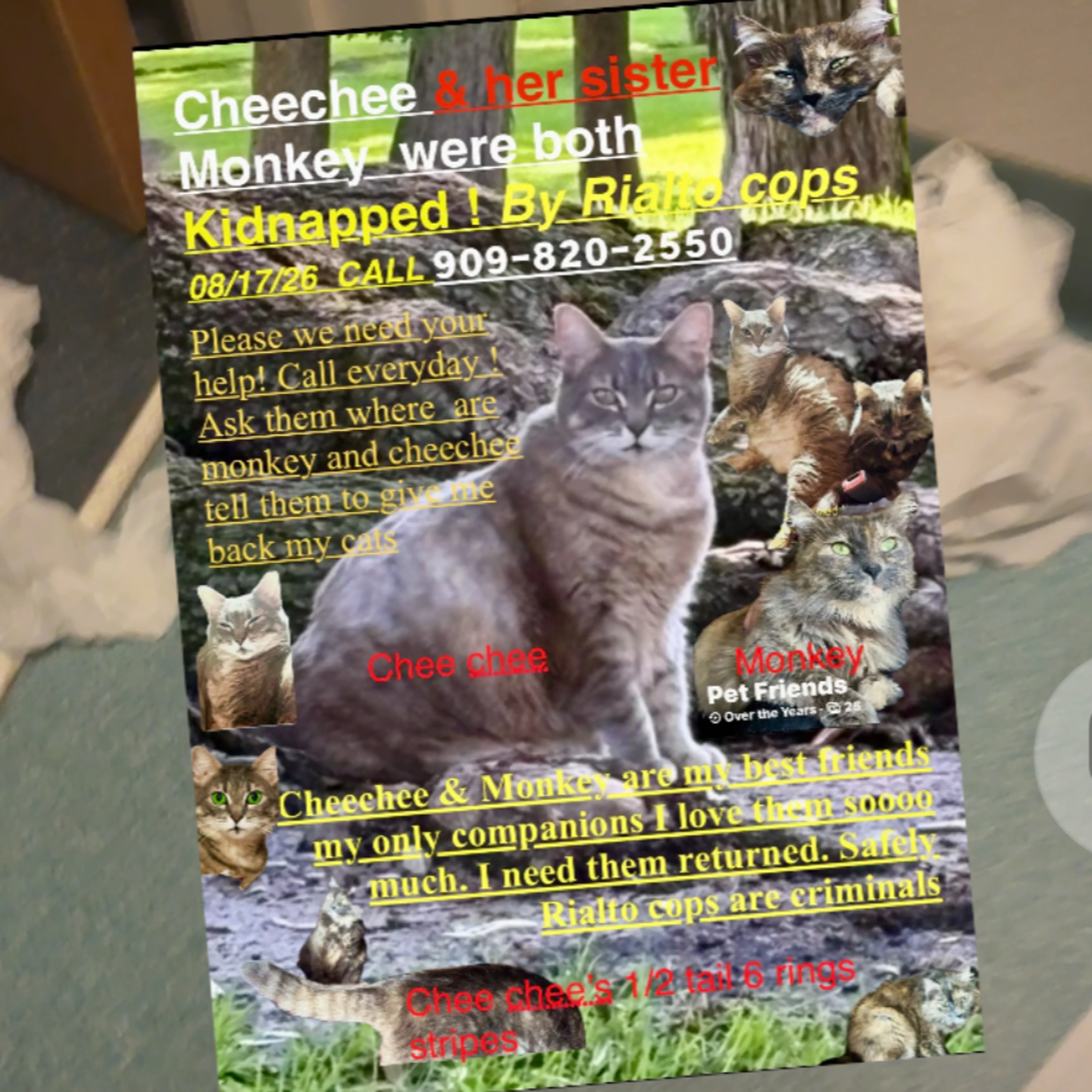 cdn image