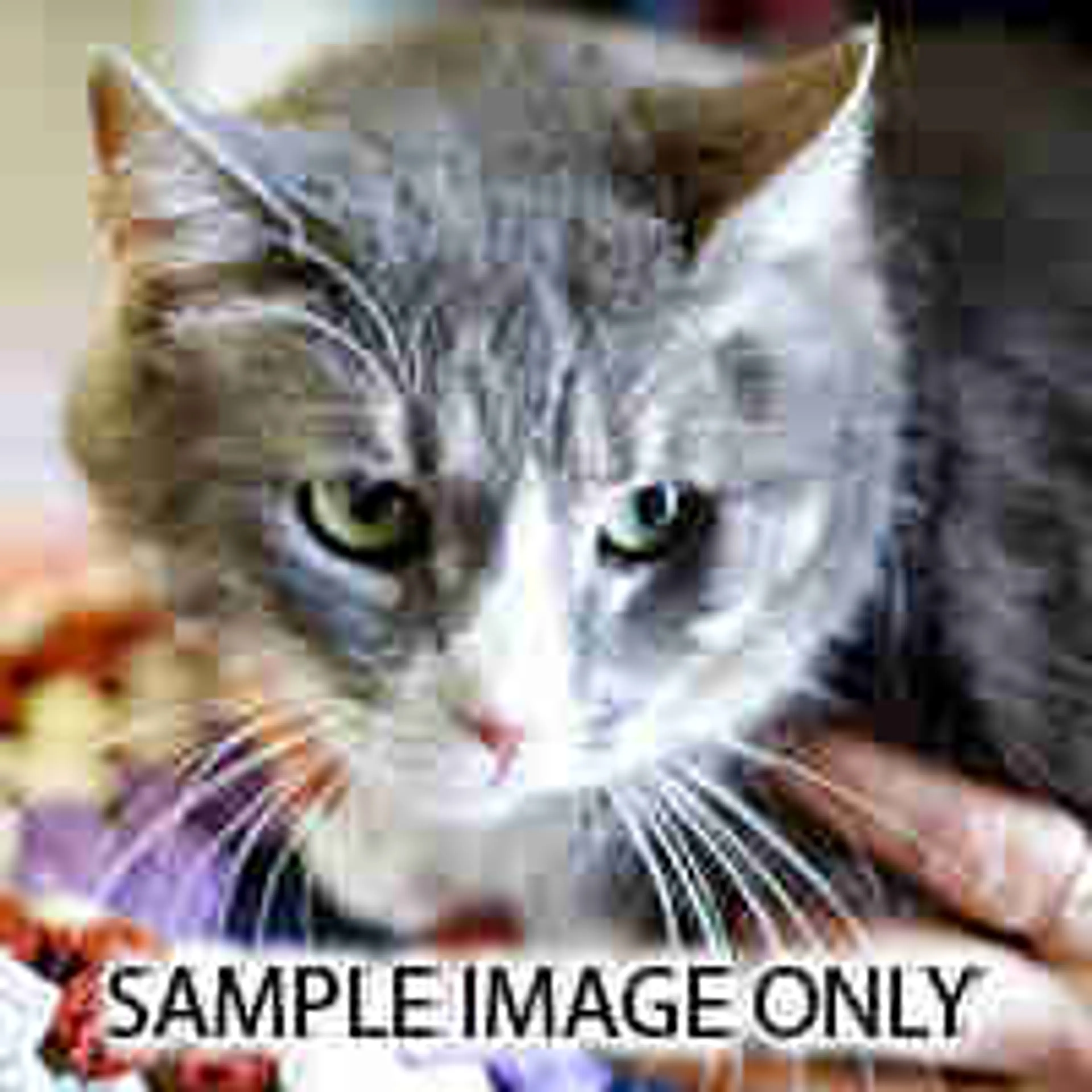 cdn image