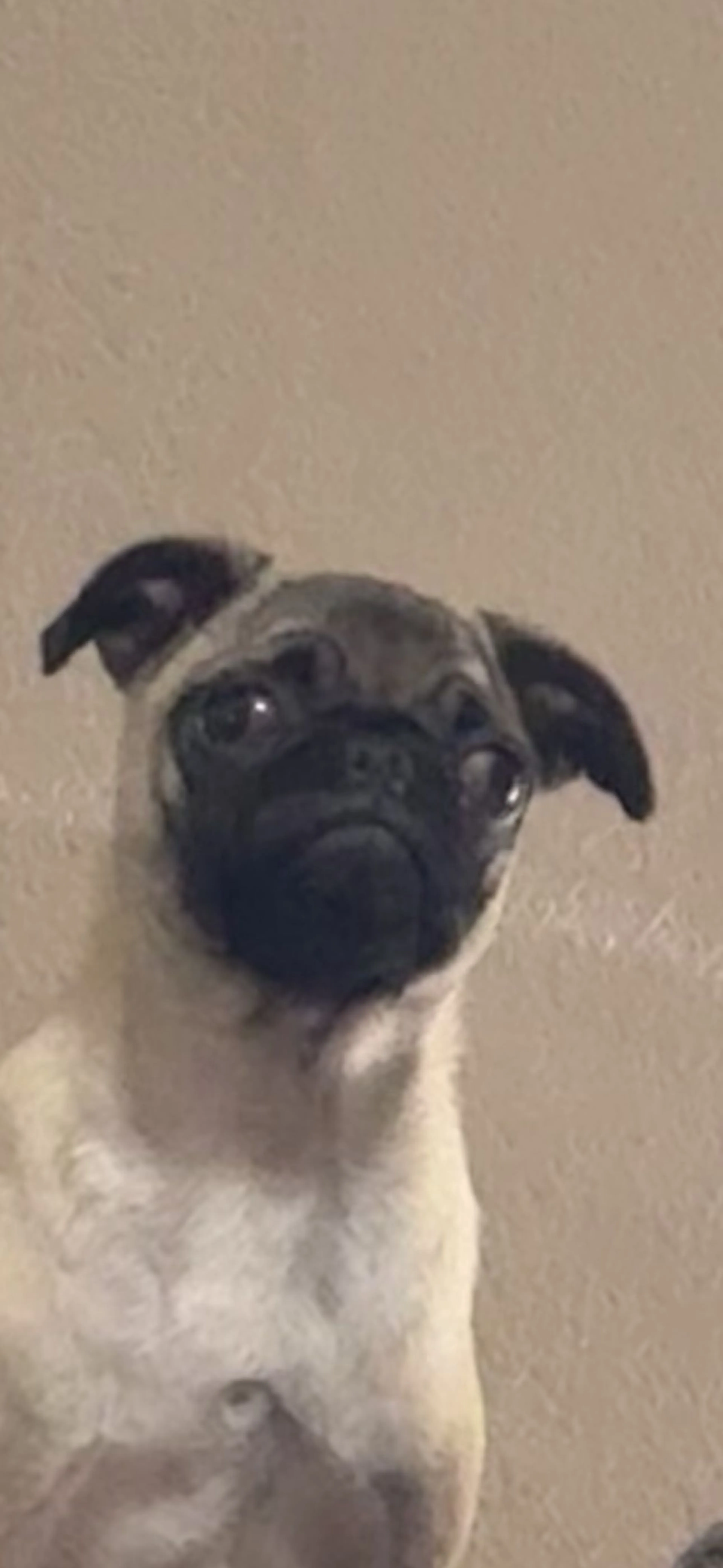-0