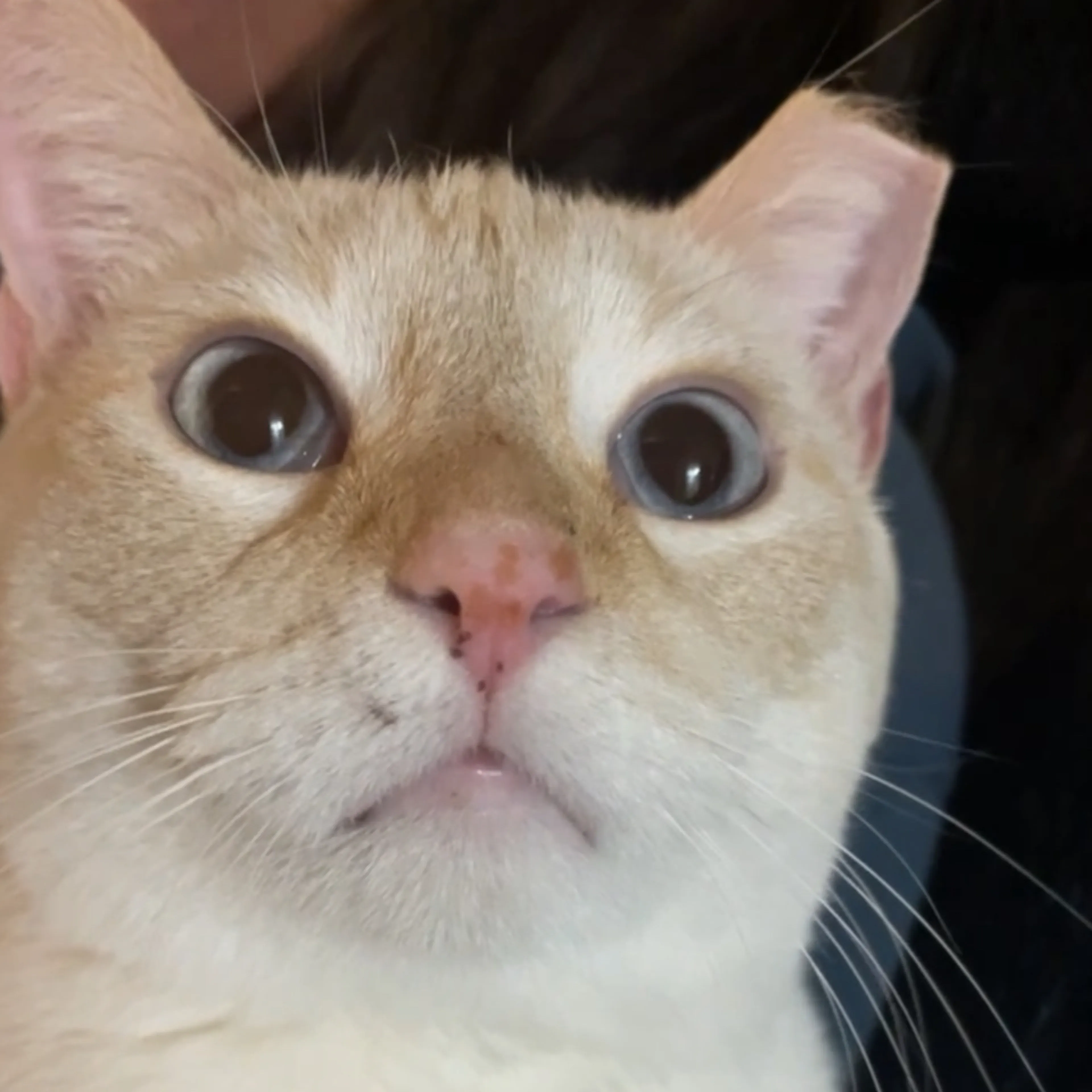 -3
