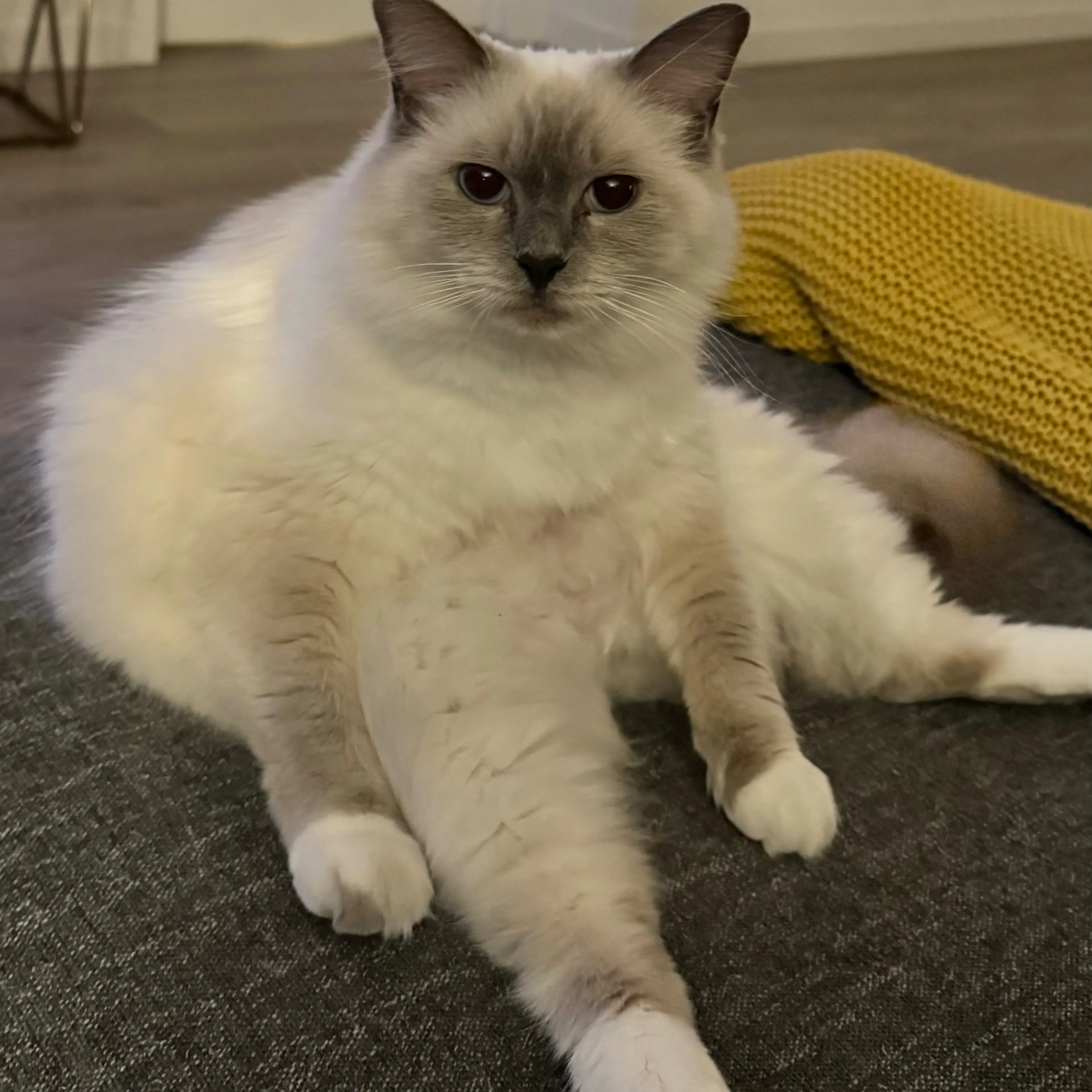 -2