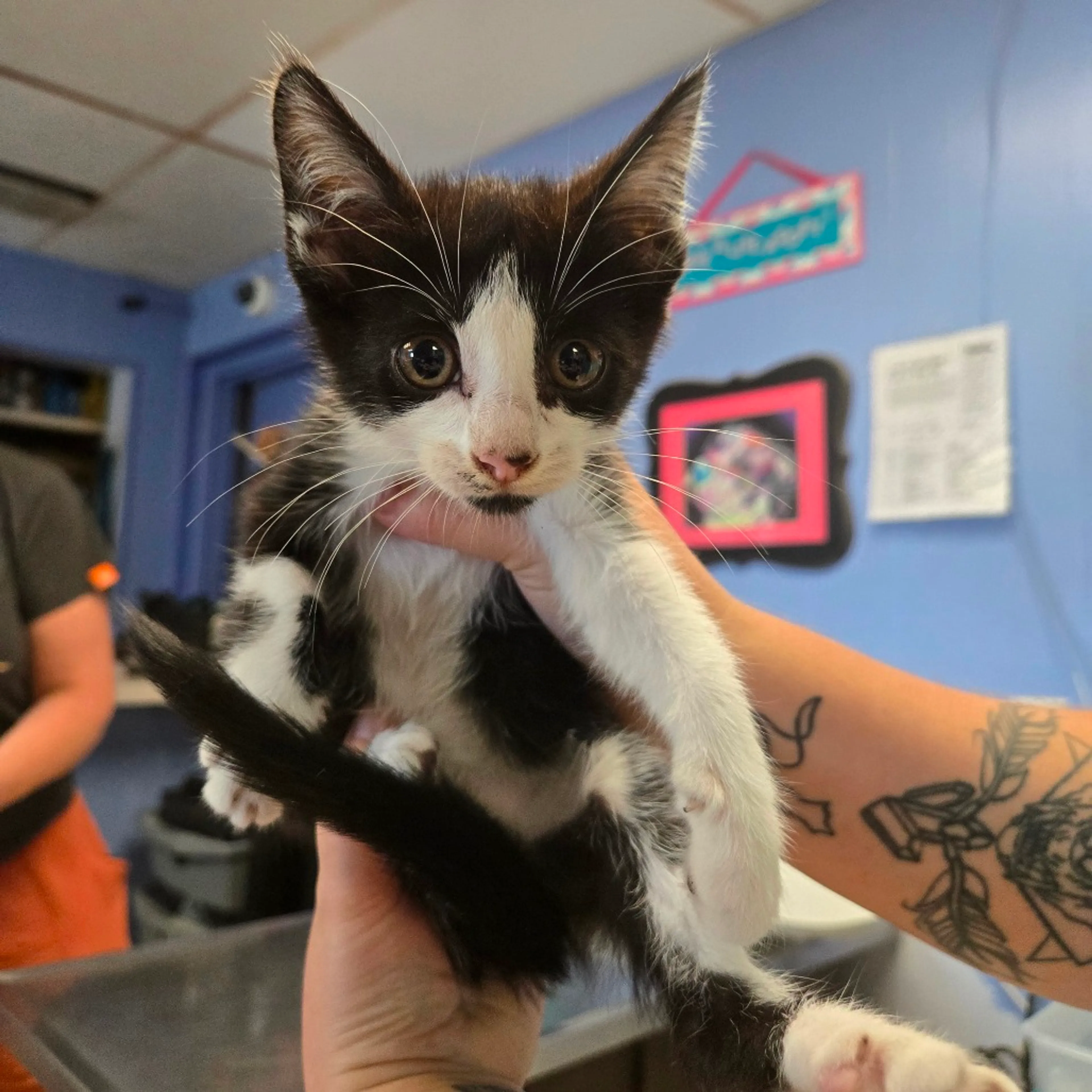-1
