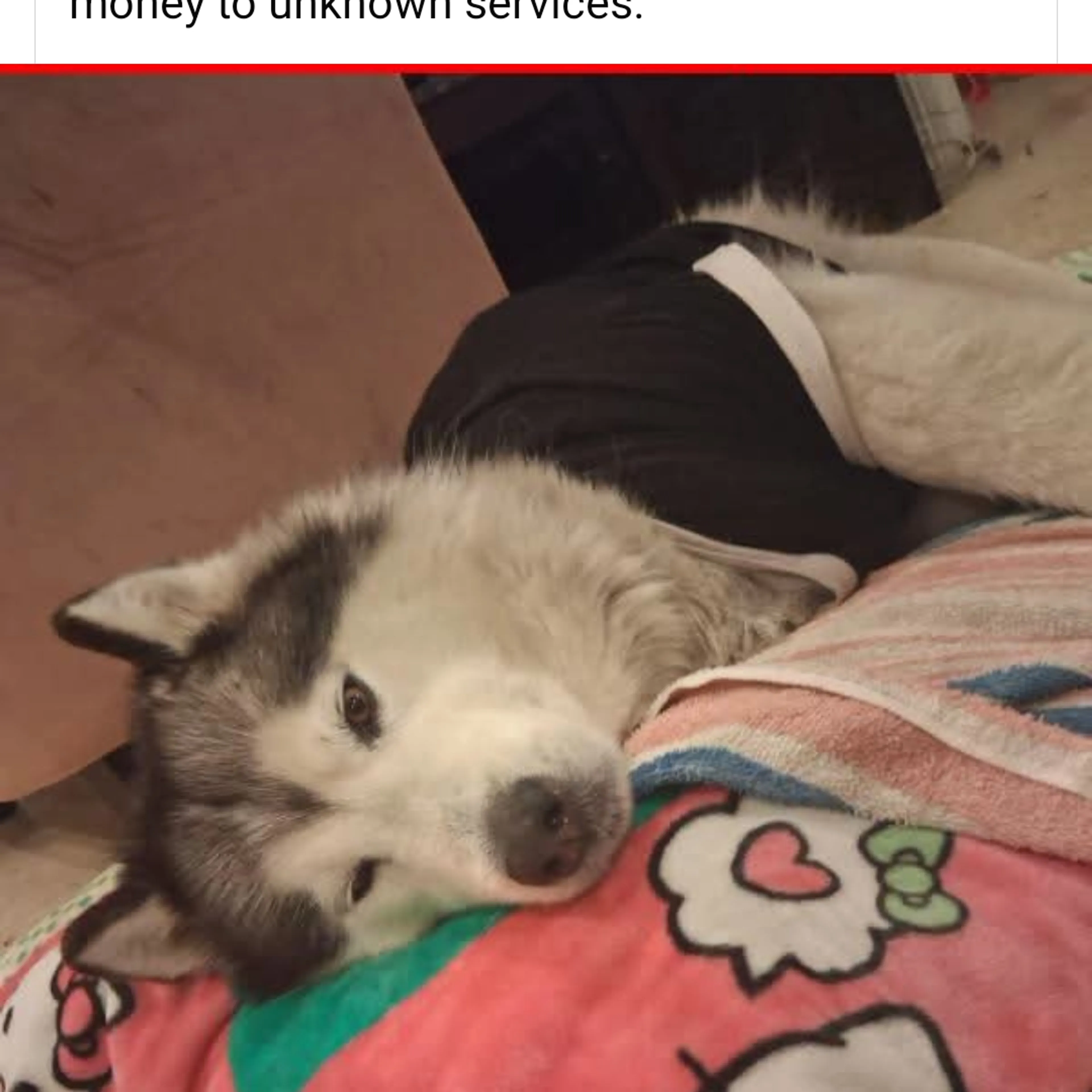 -1