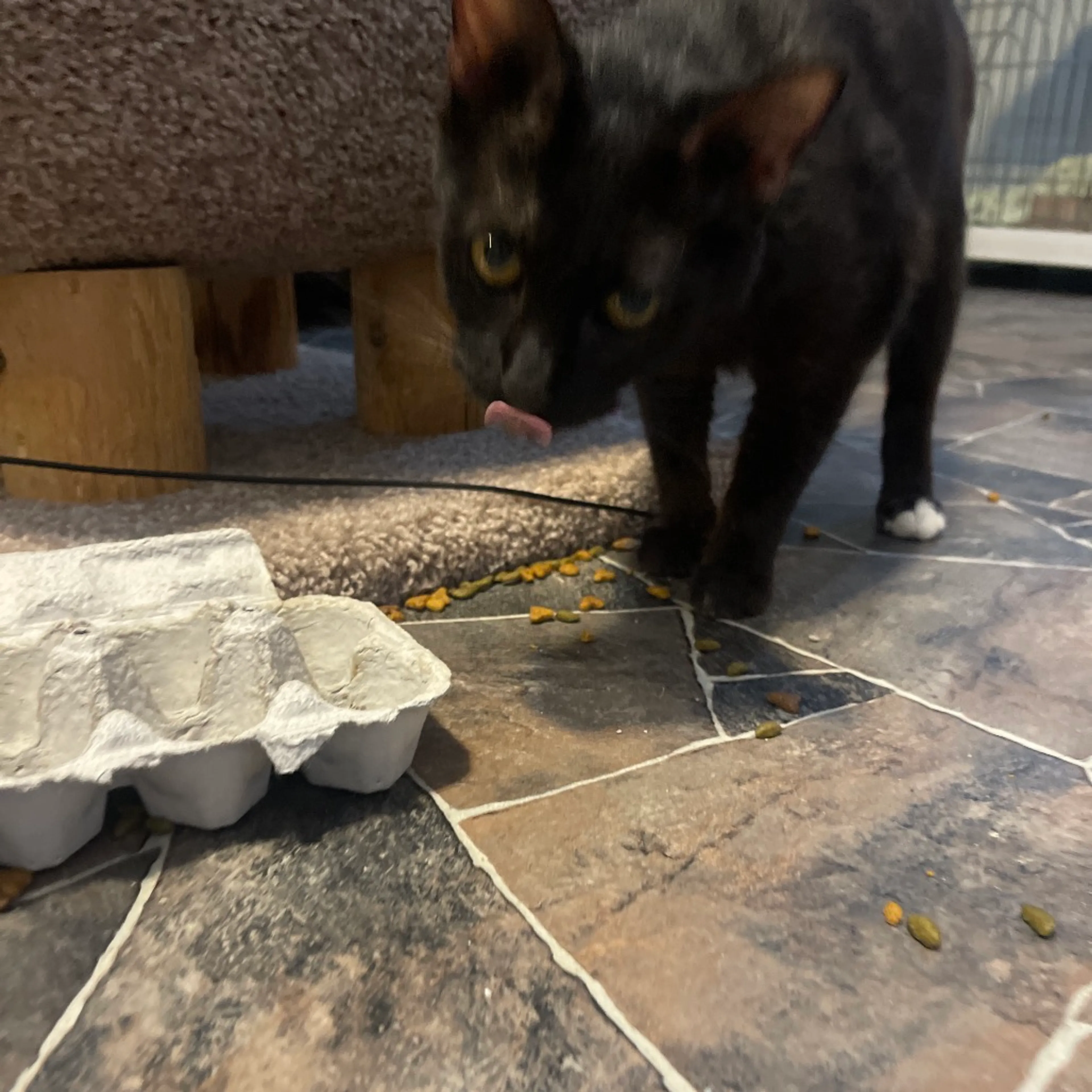 cdn image