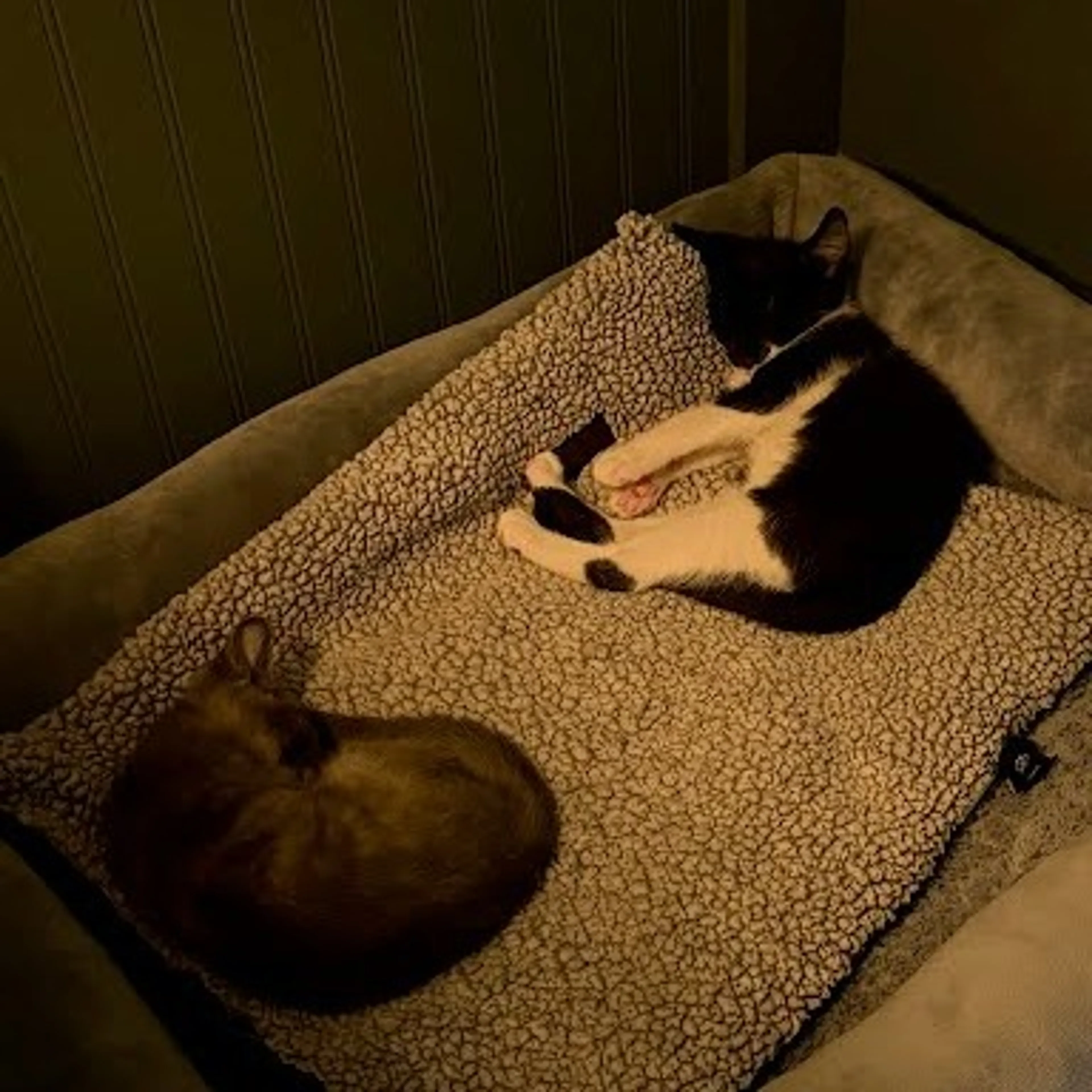 -1