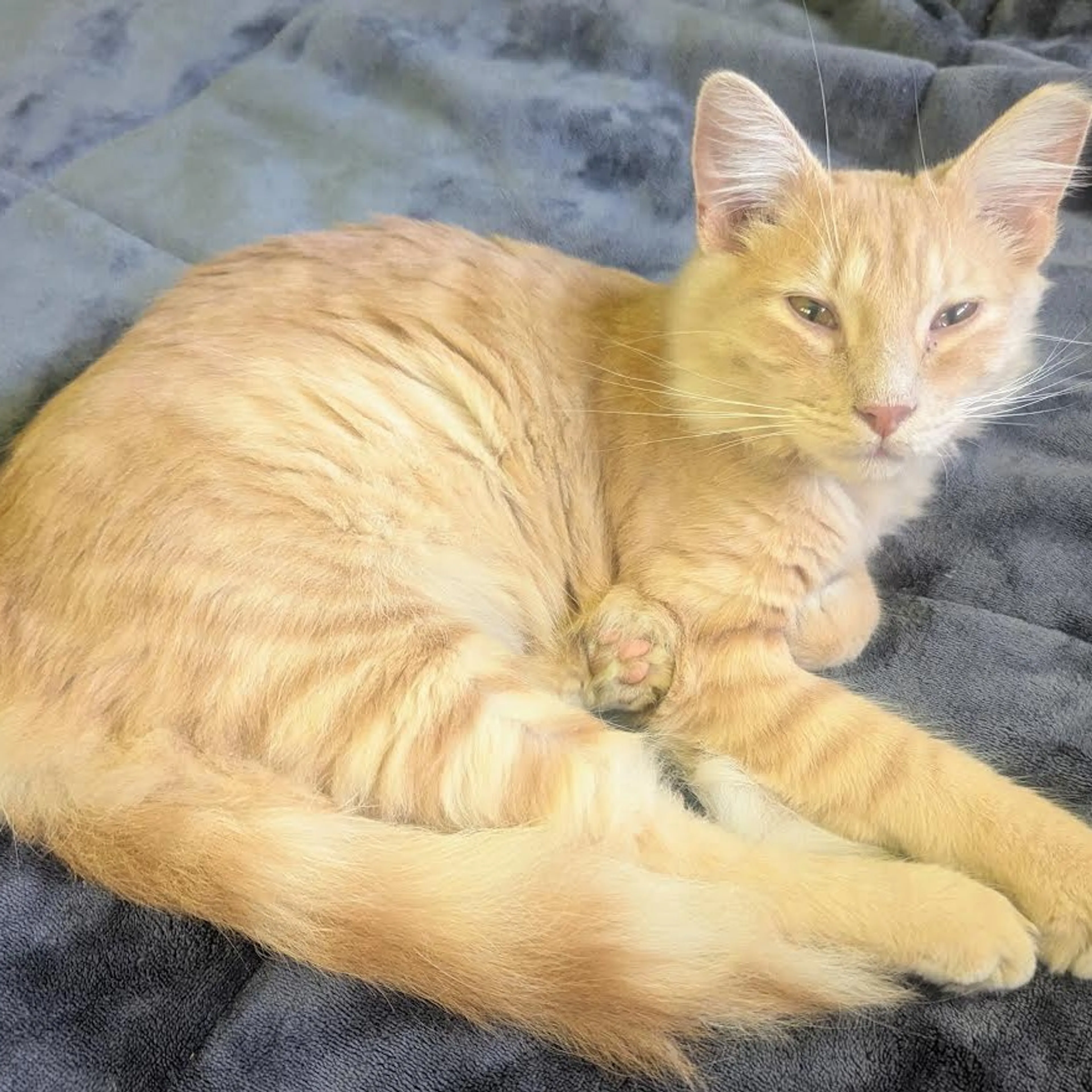 -3