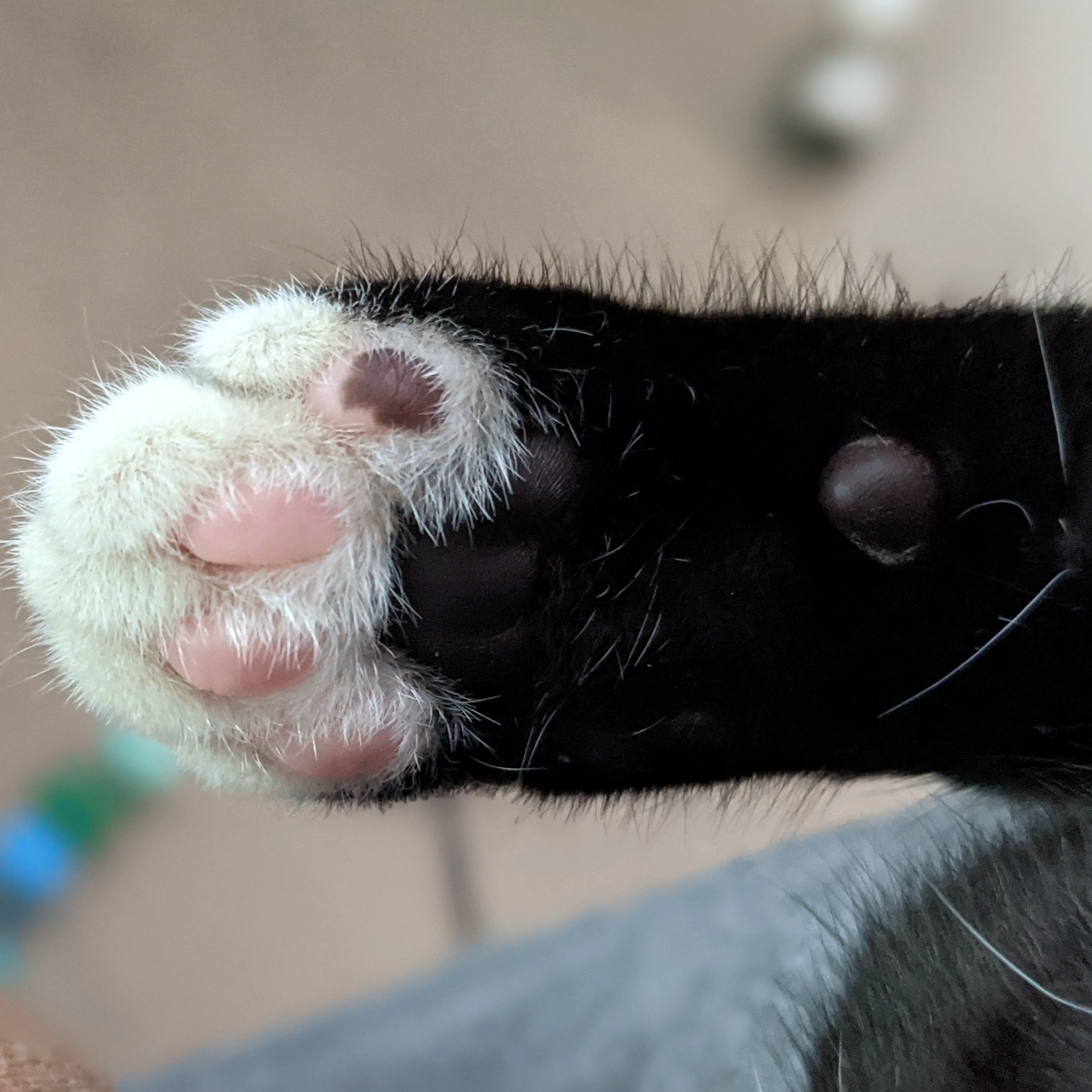 -3