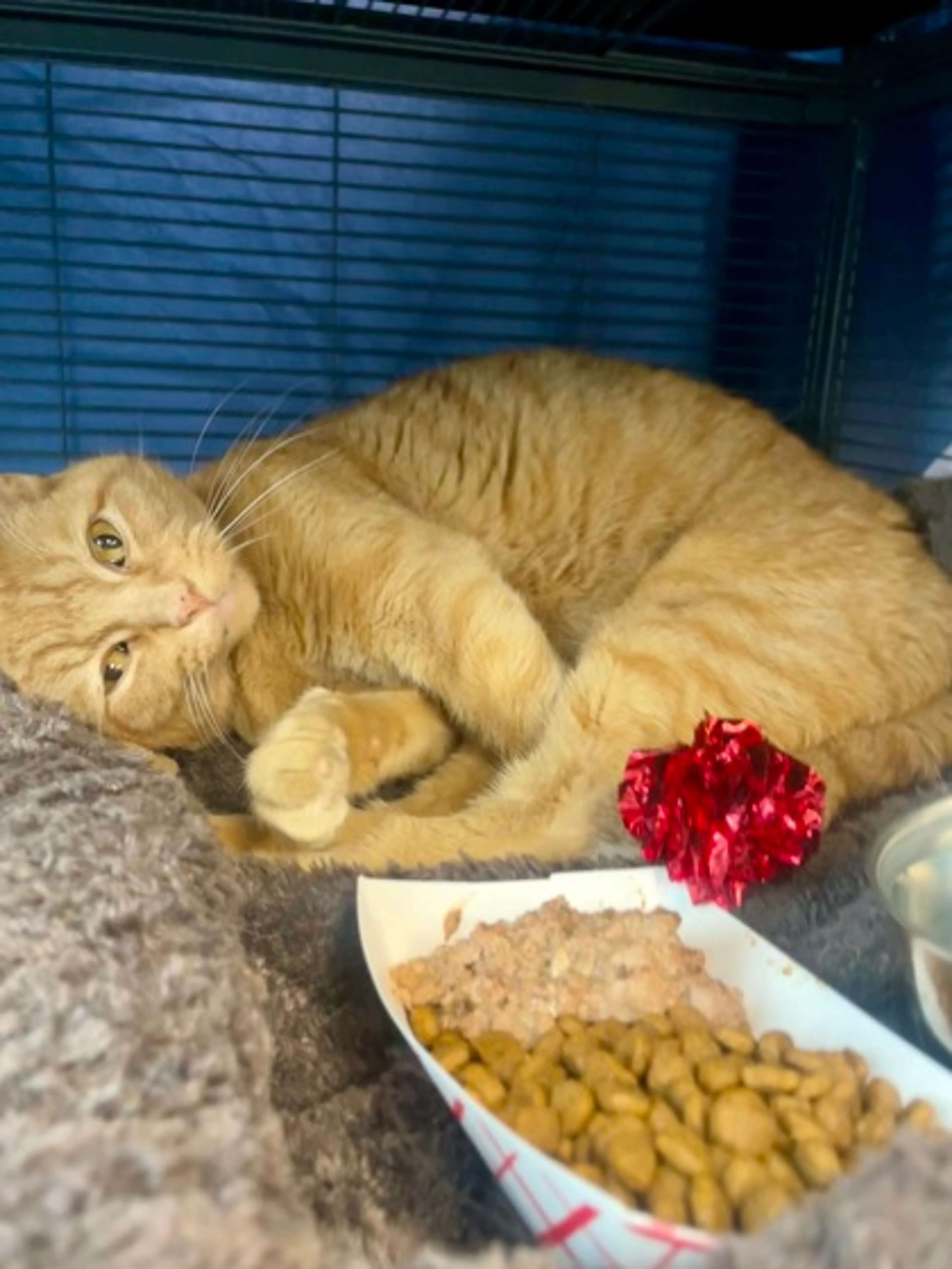 -0