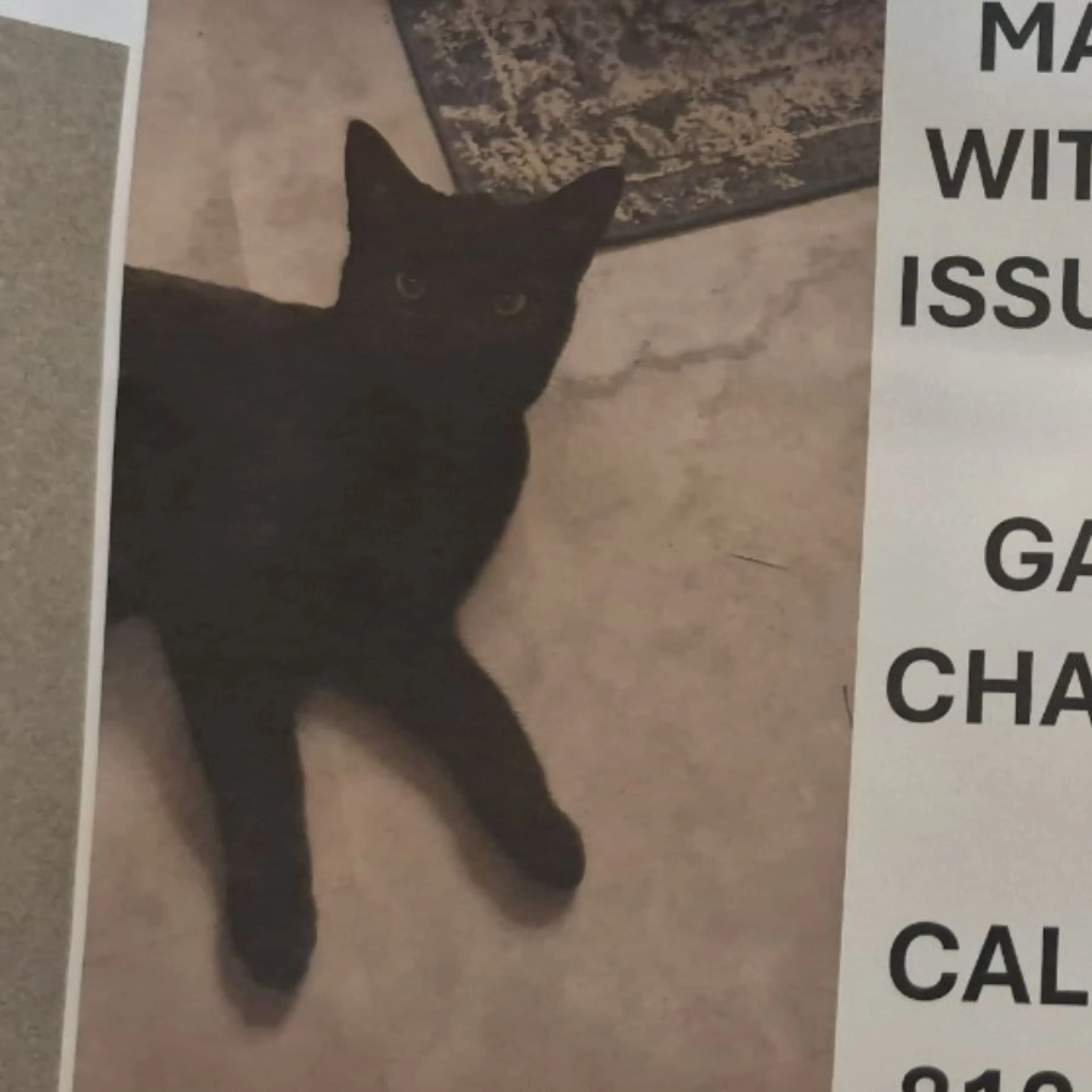 cdn image