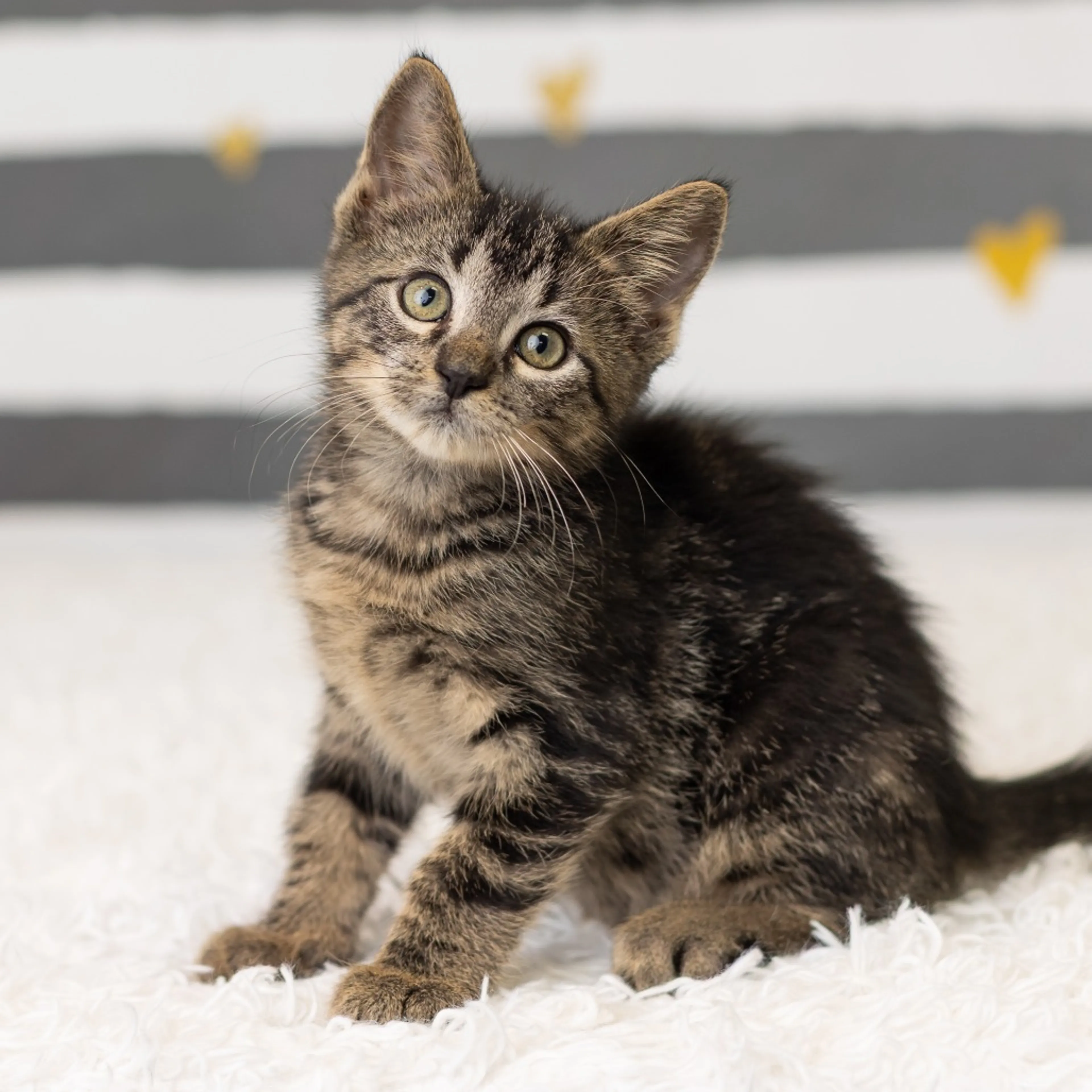 -3