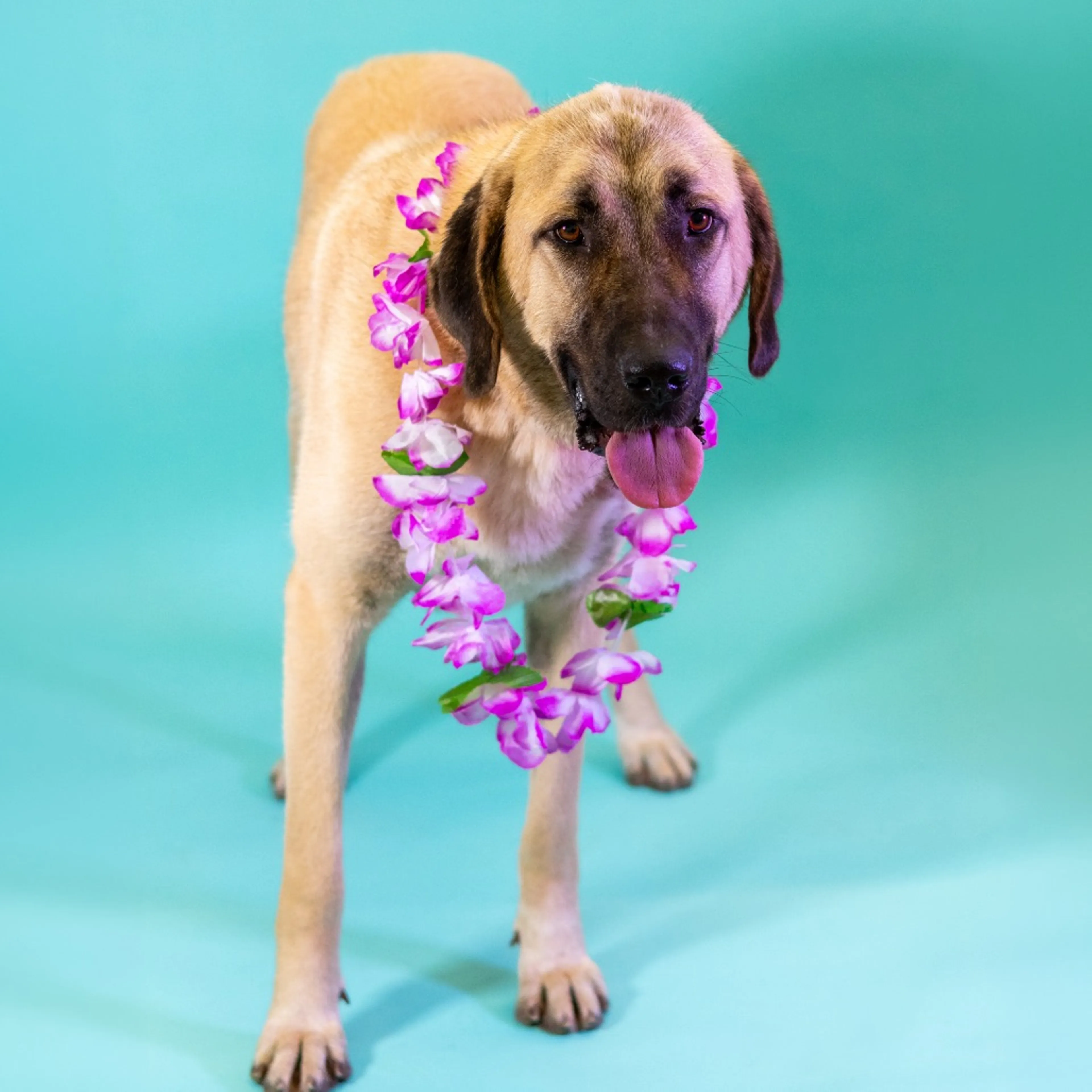 -7