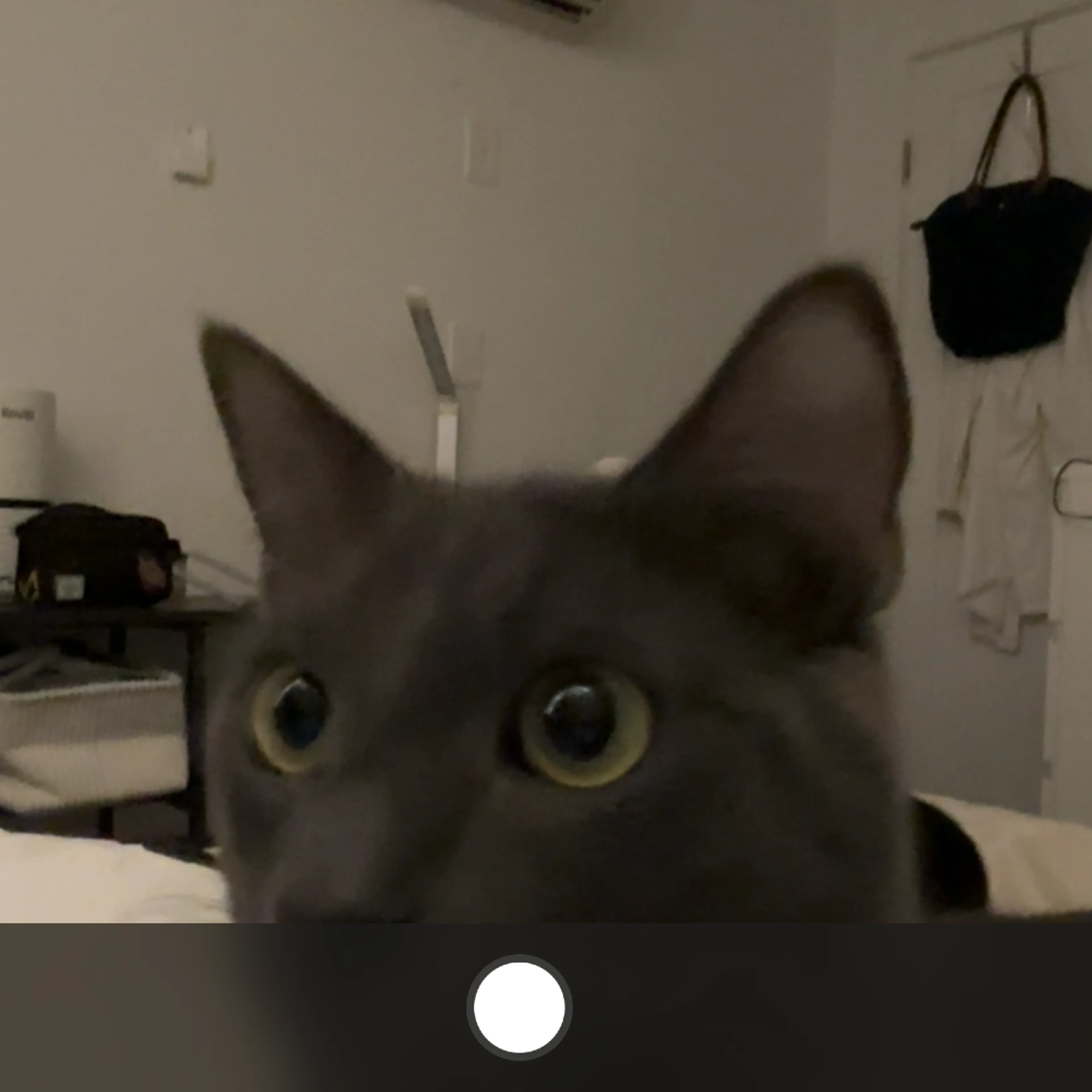 cdn image