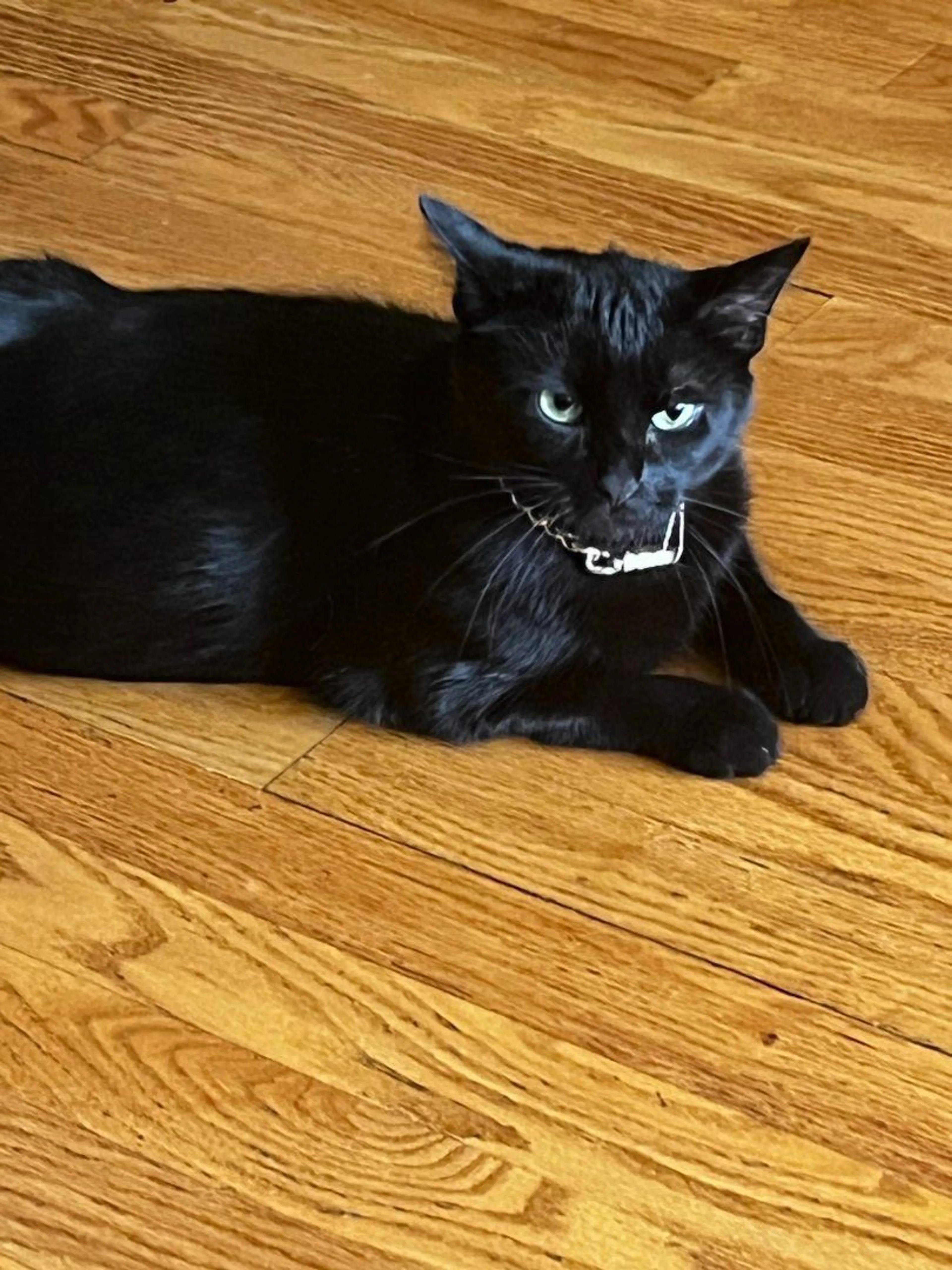 -0