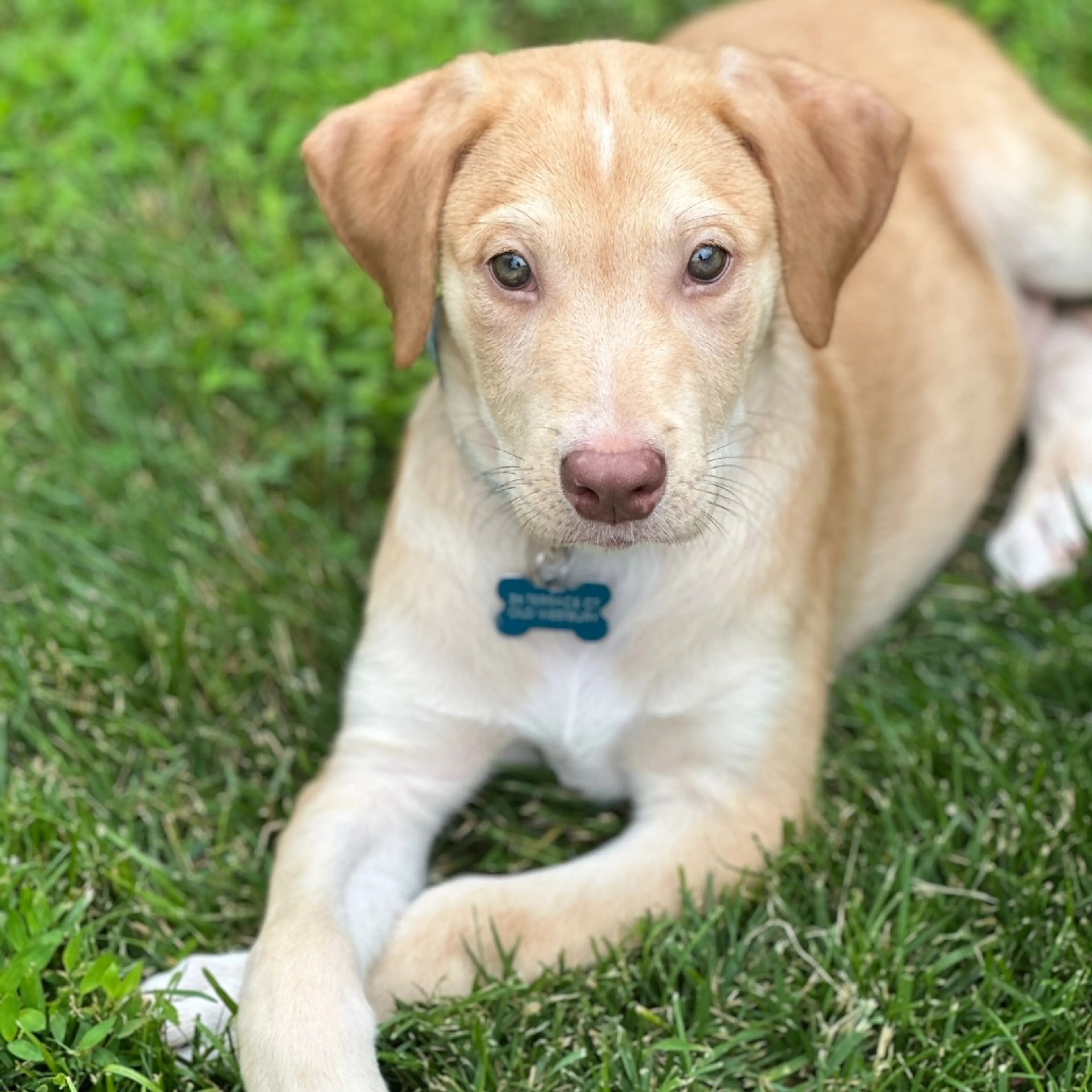 -3