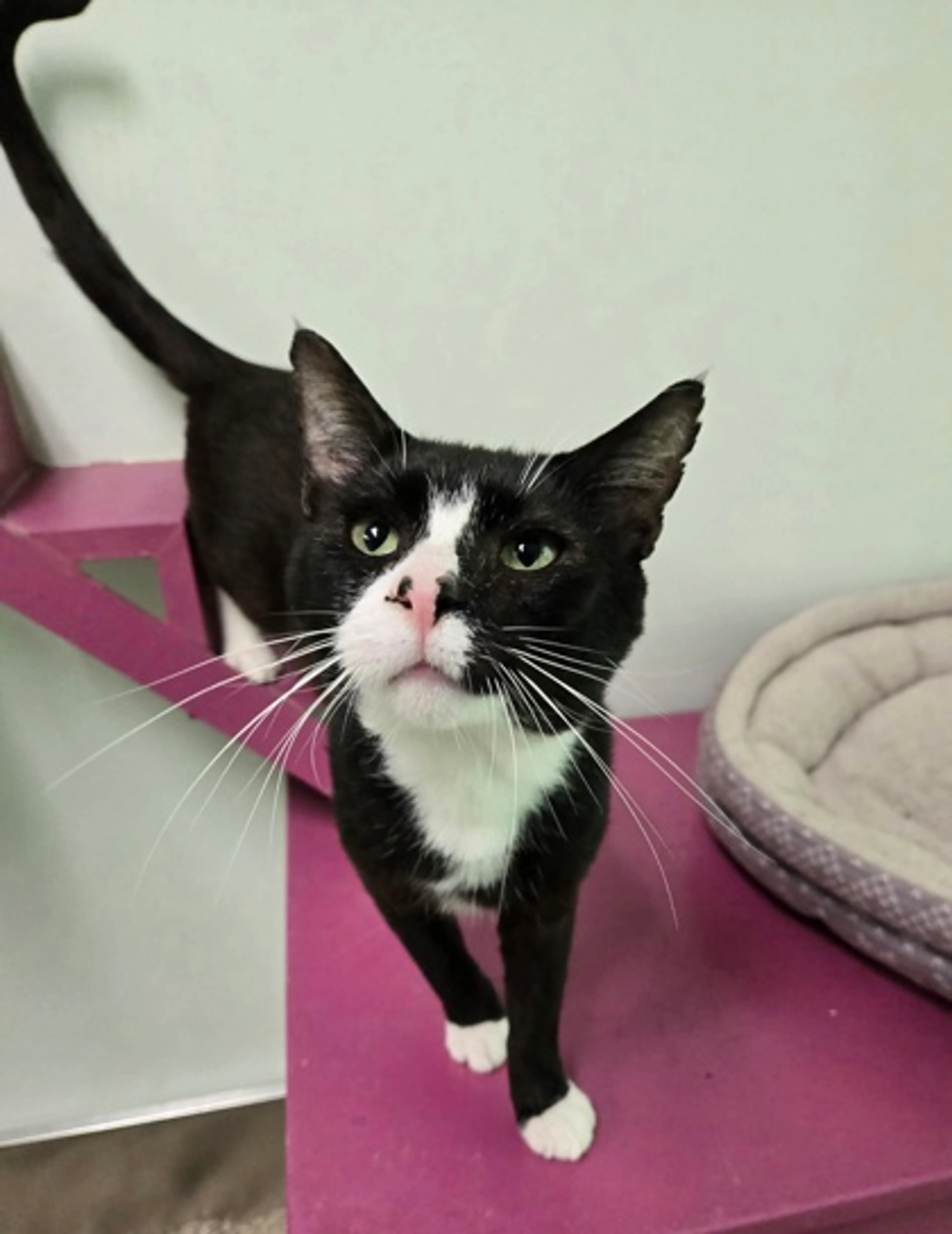 -0