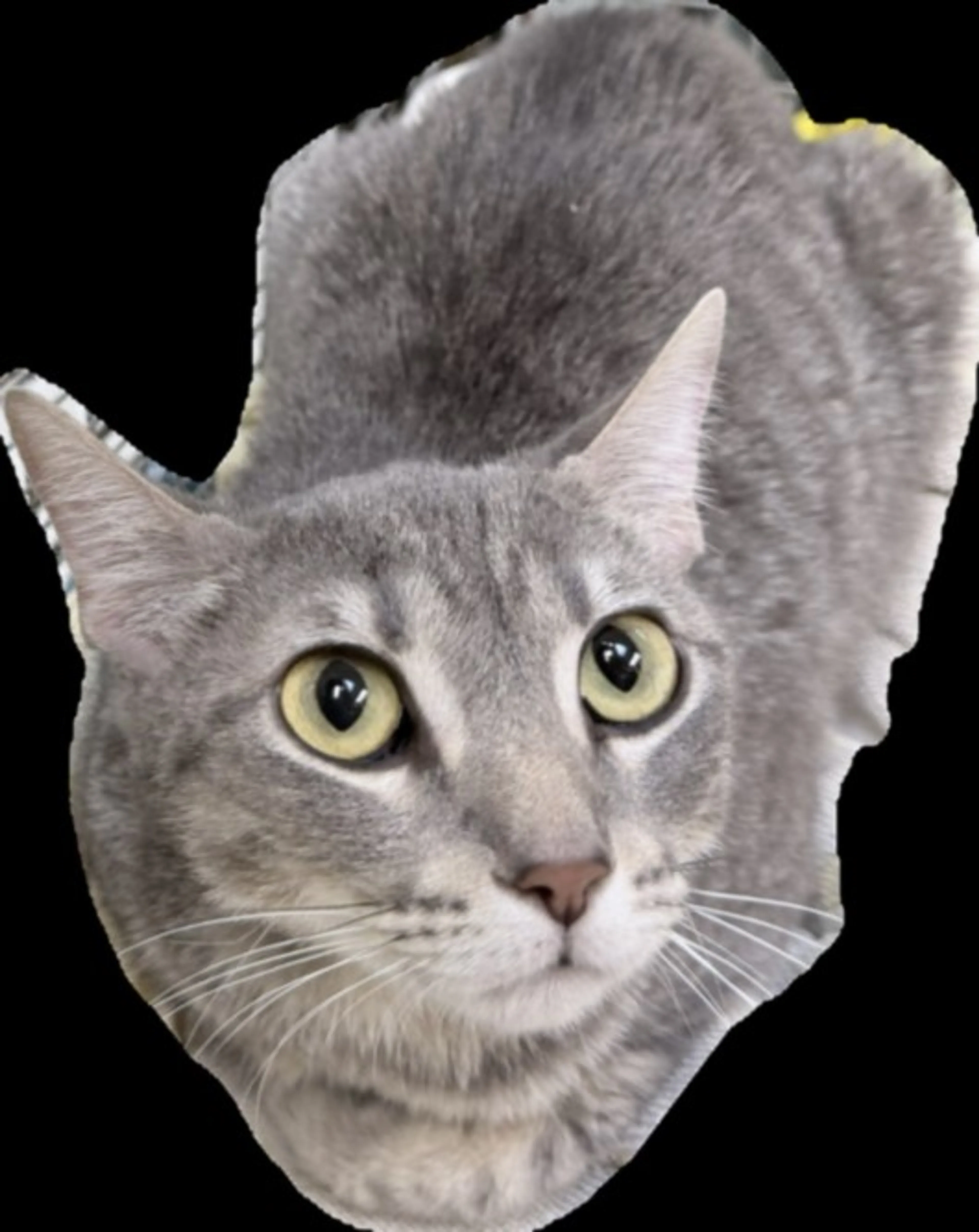 cdn image