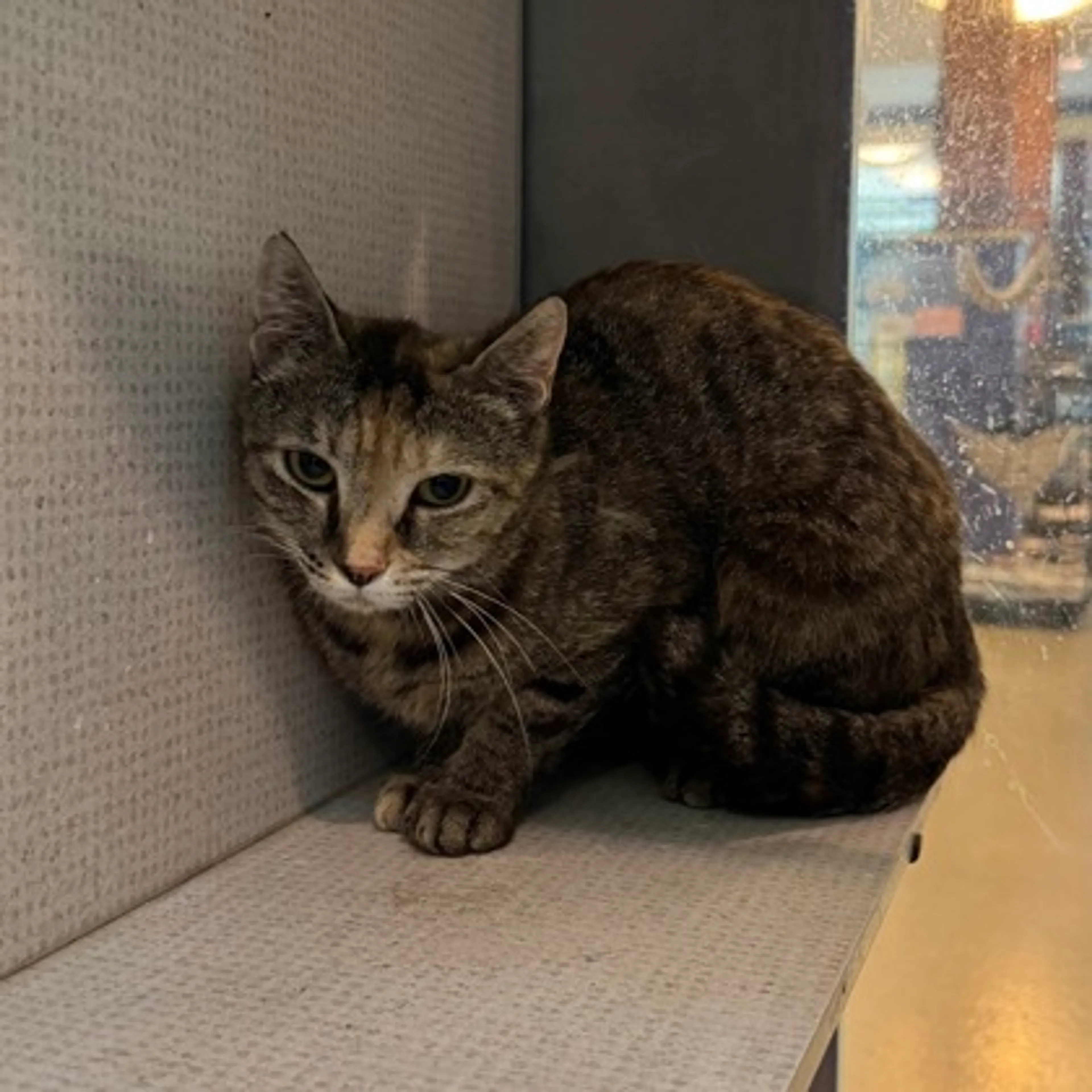 -2