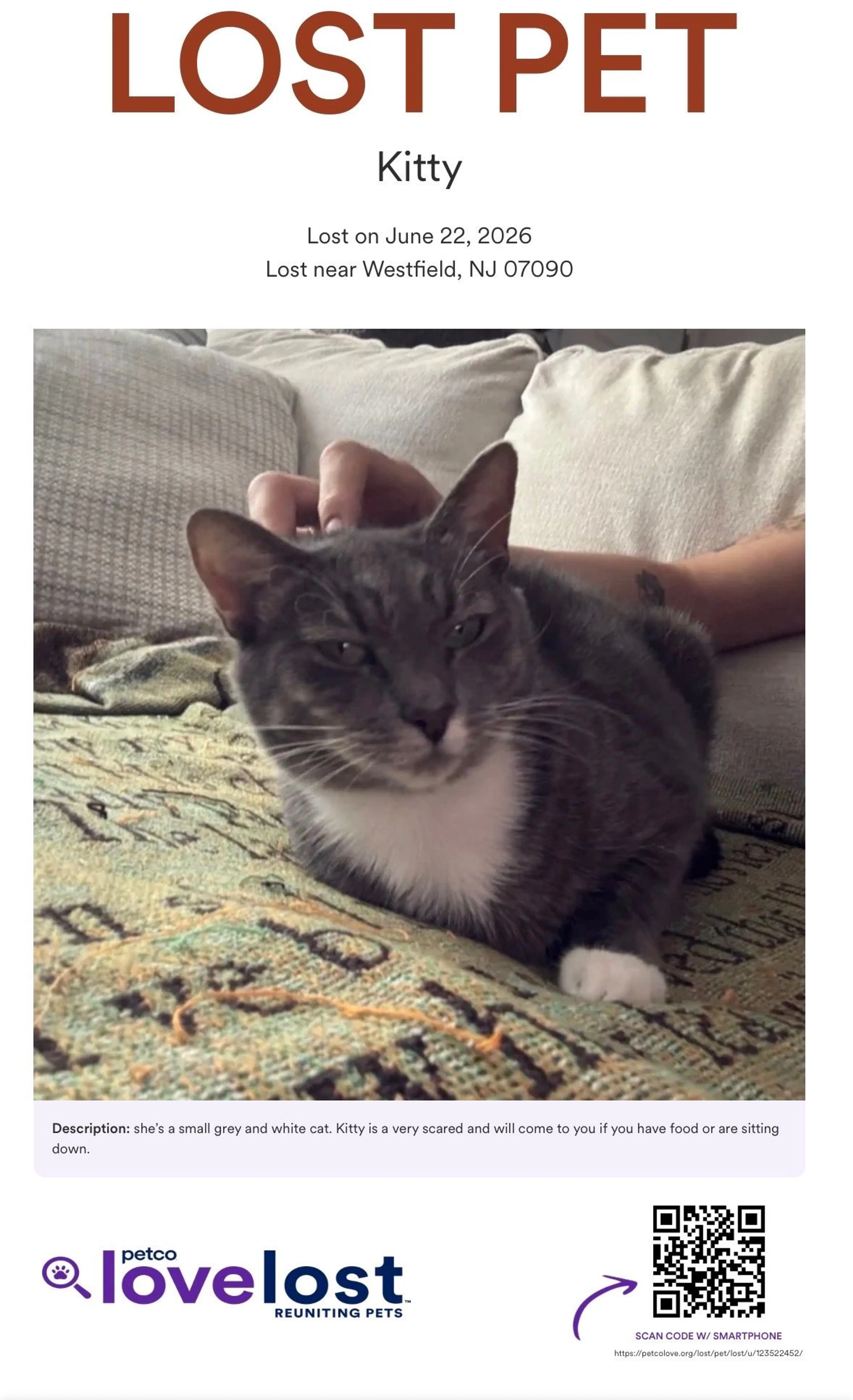 -3