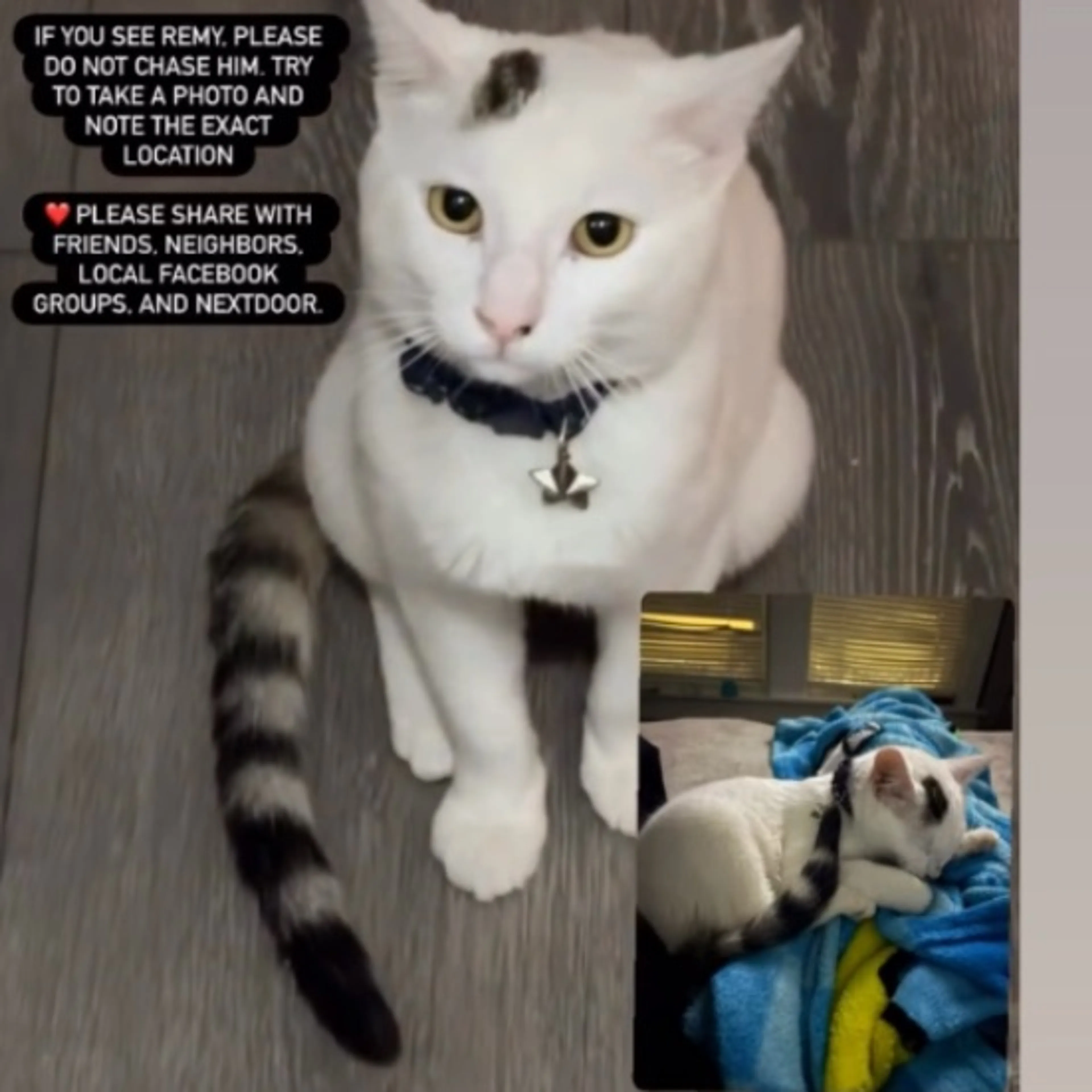 cdn image