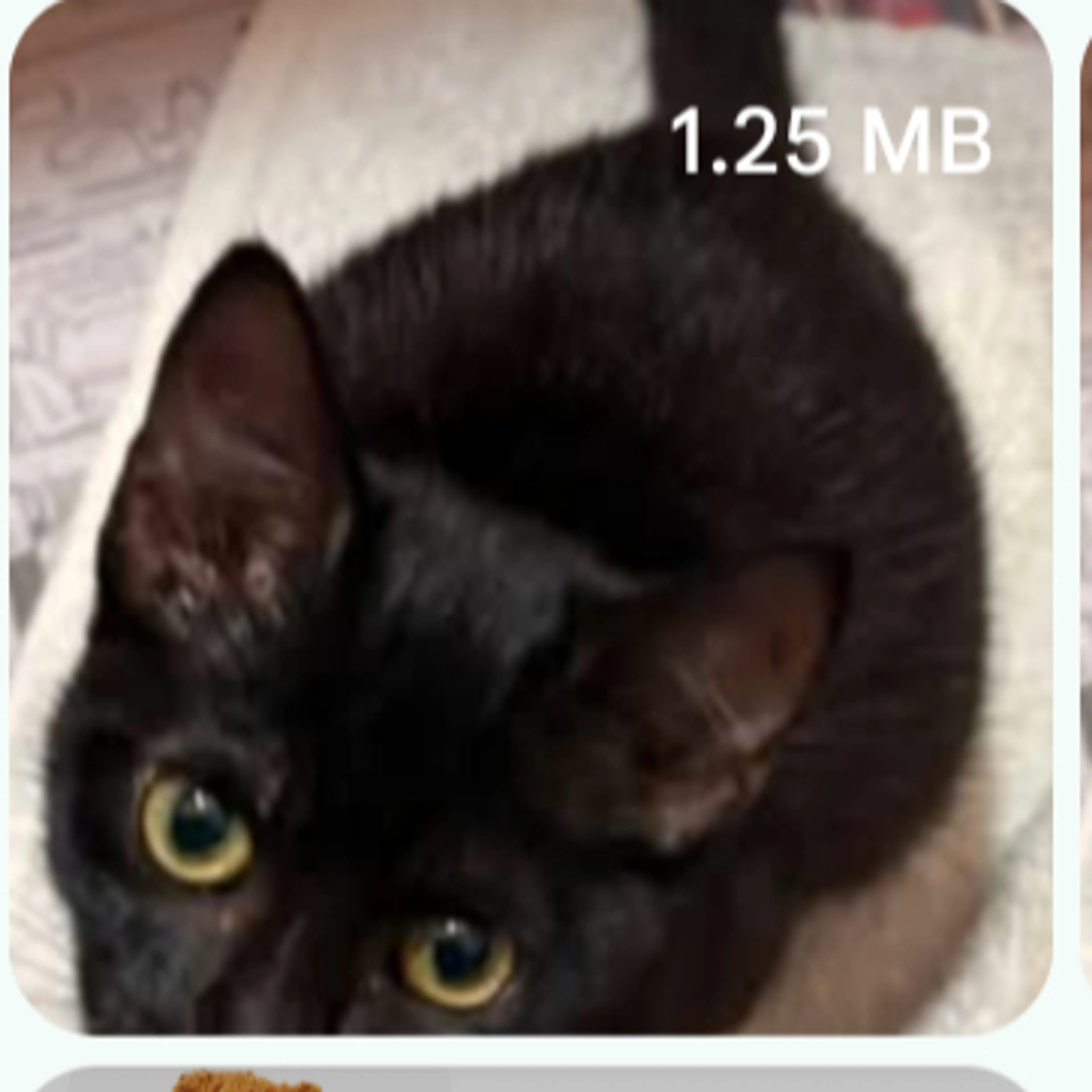 cdn image