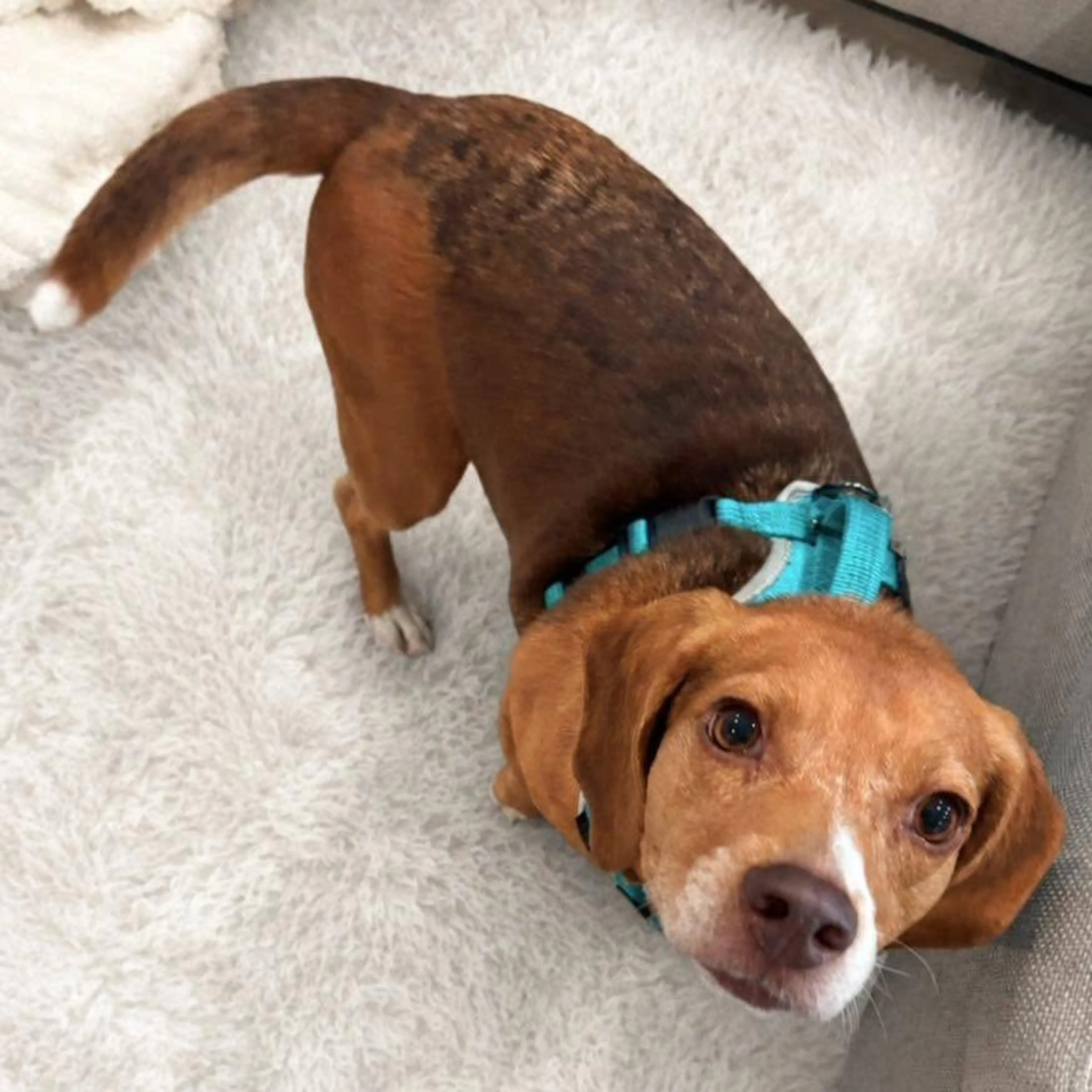 -0
