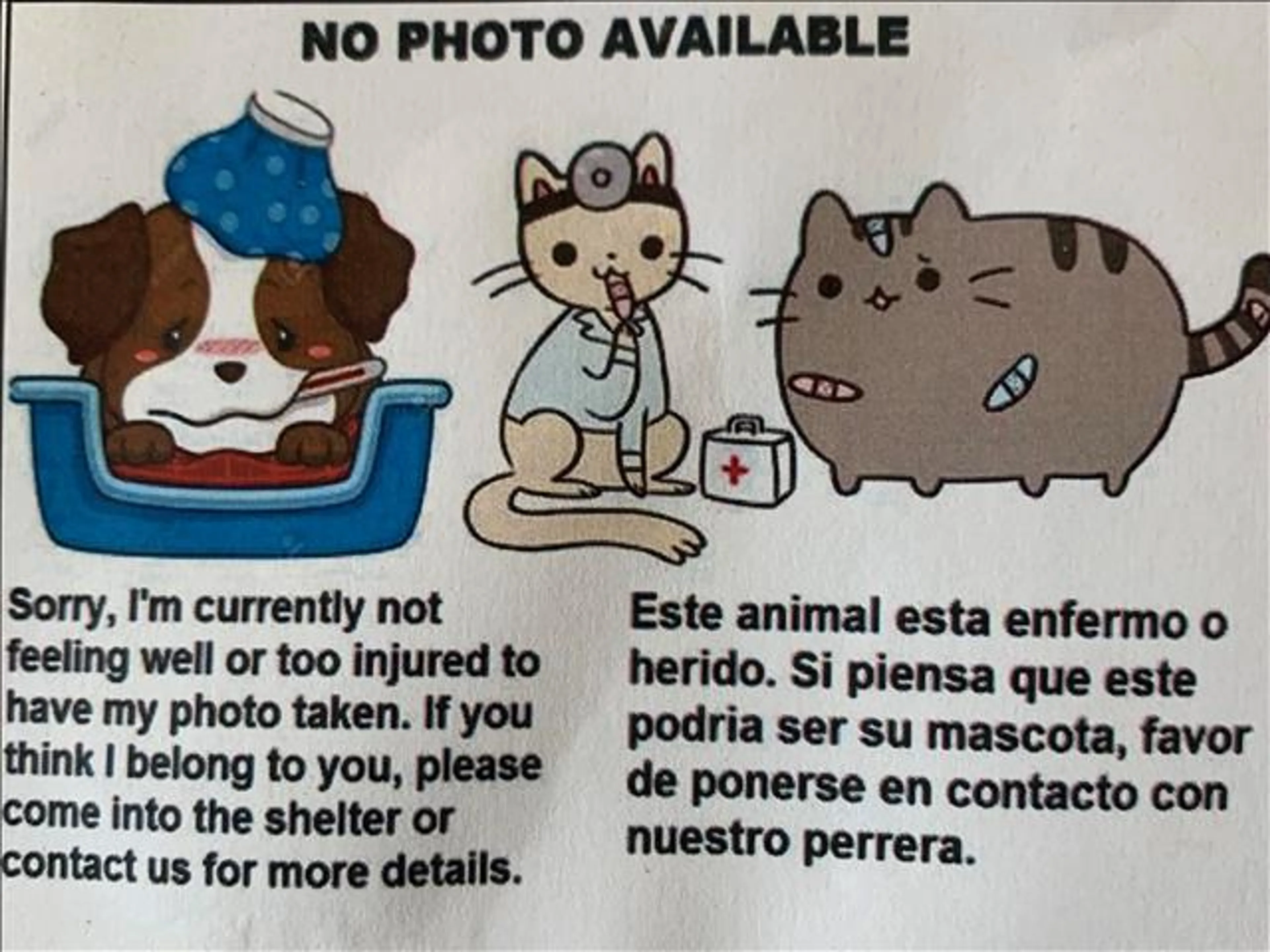 cdn image