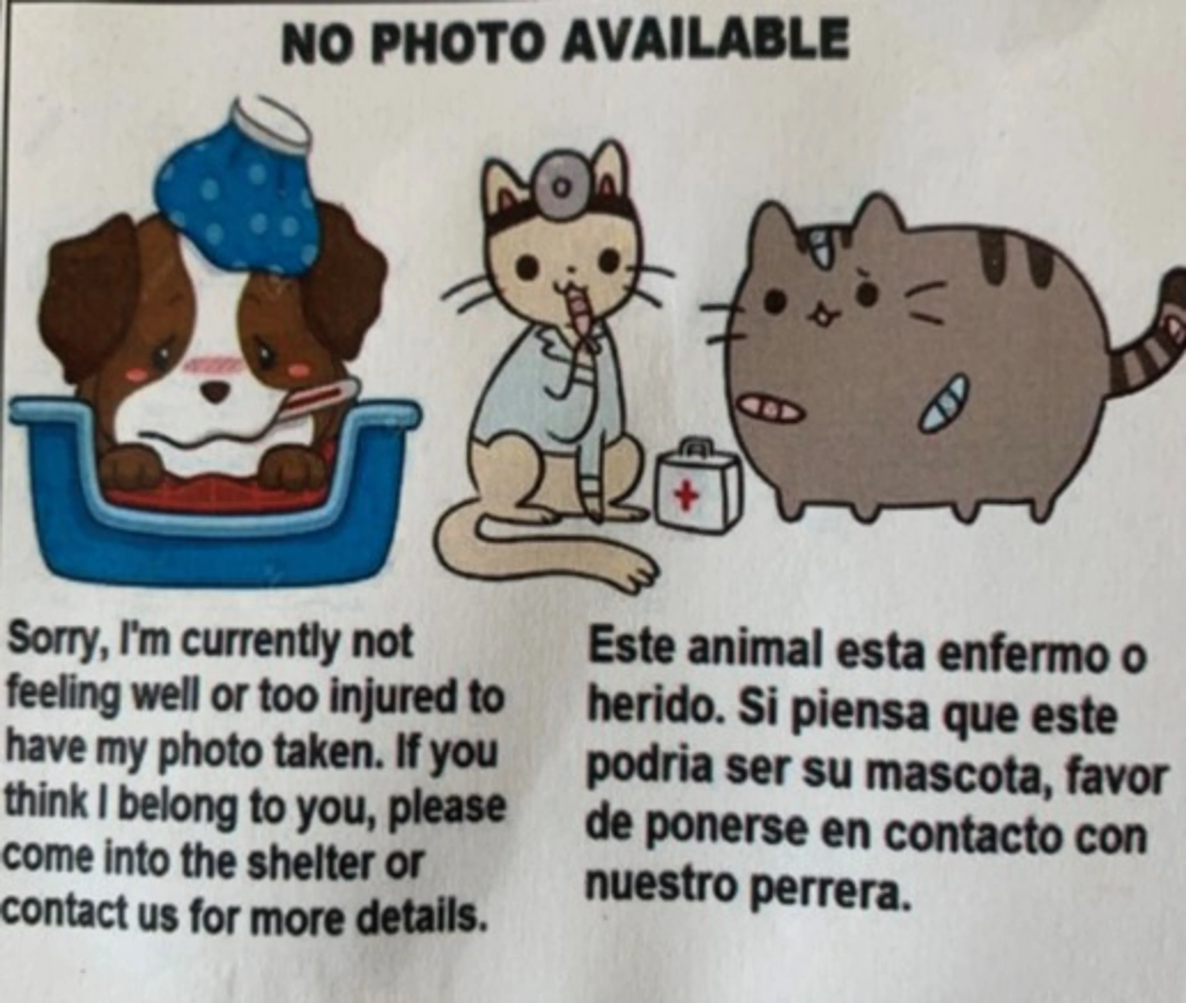 cdn image