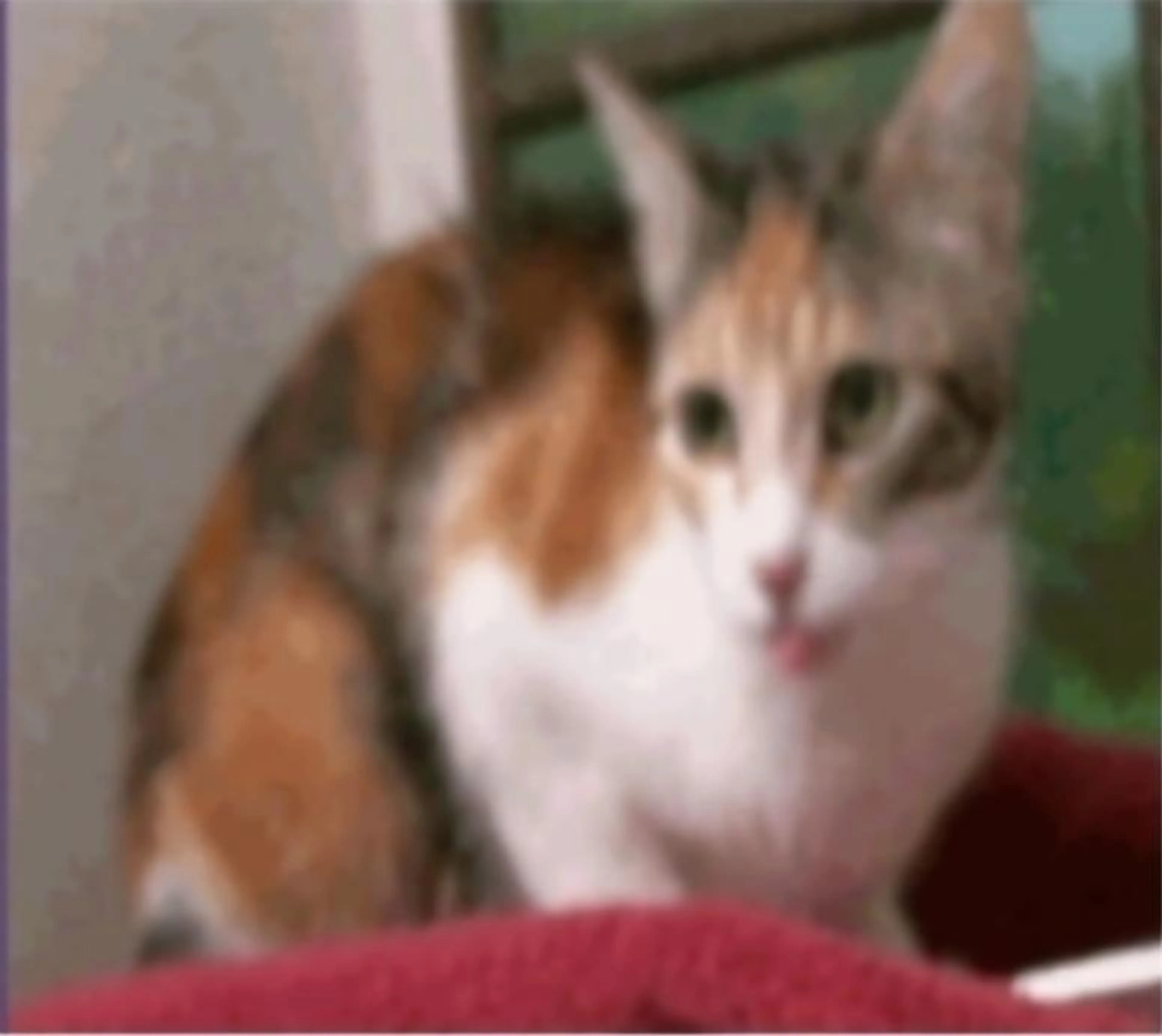 -1