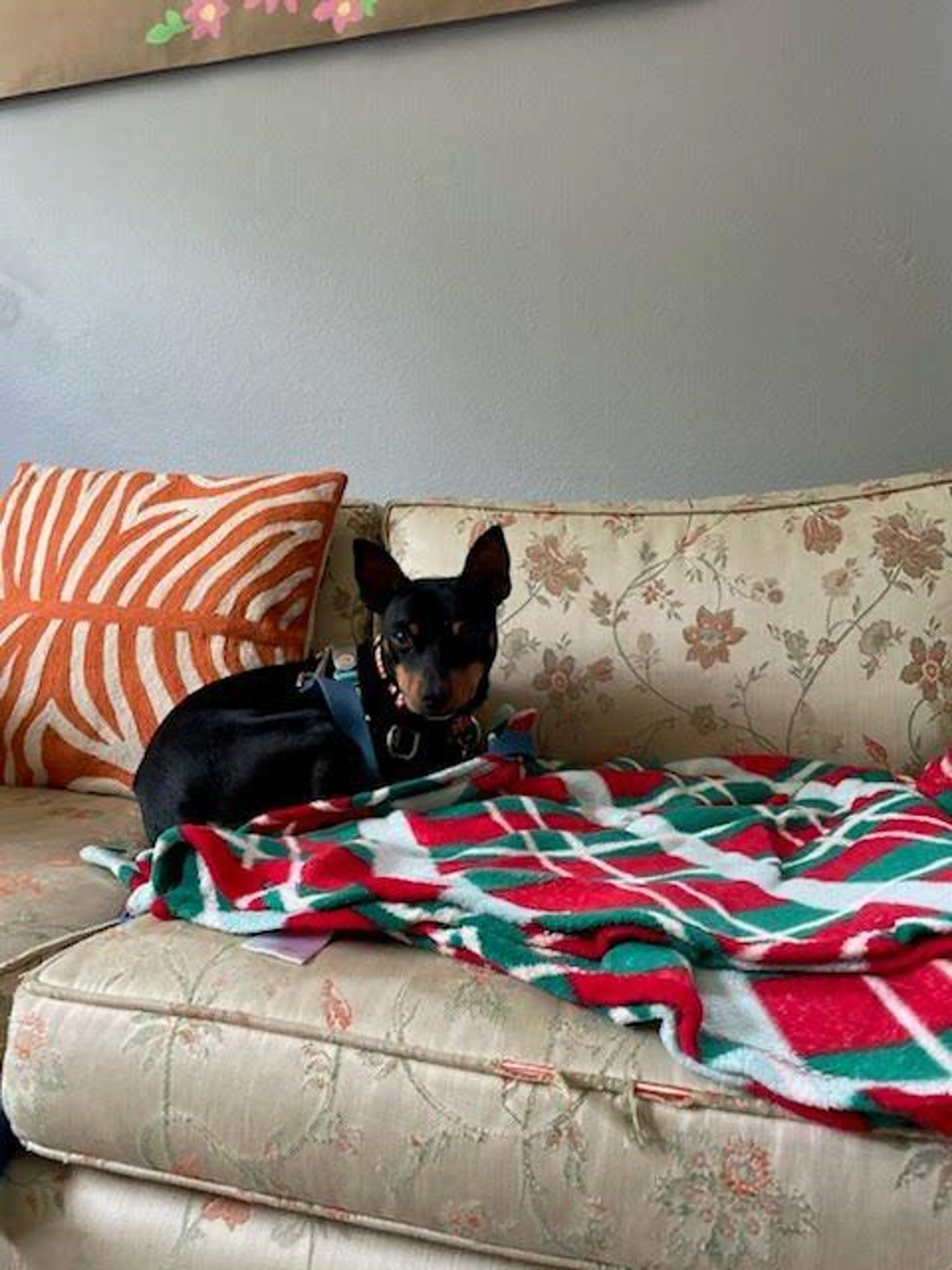 -2