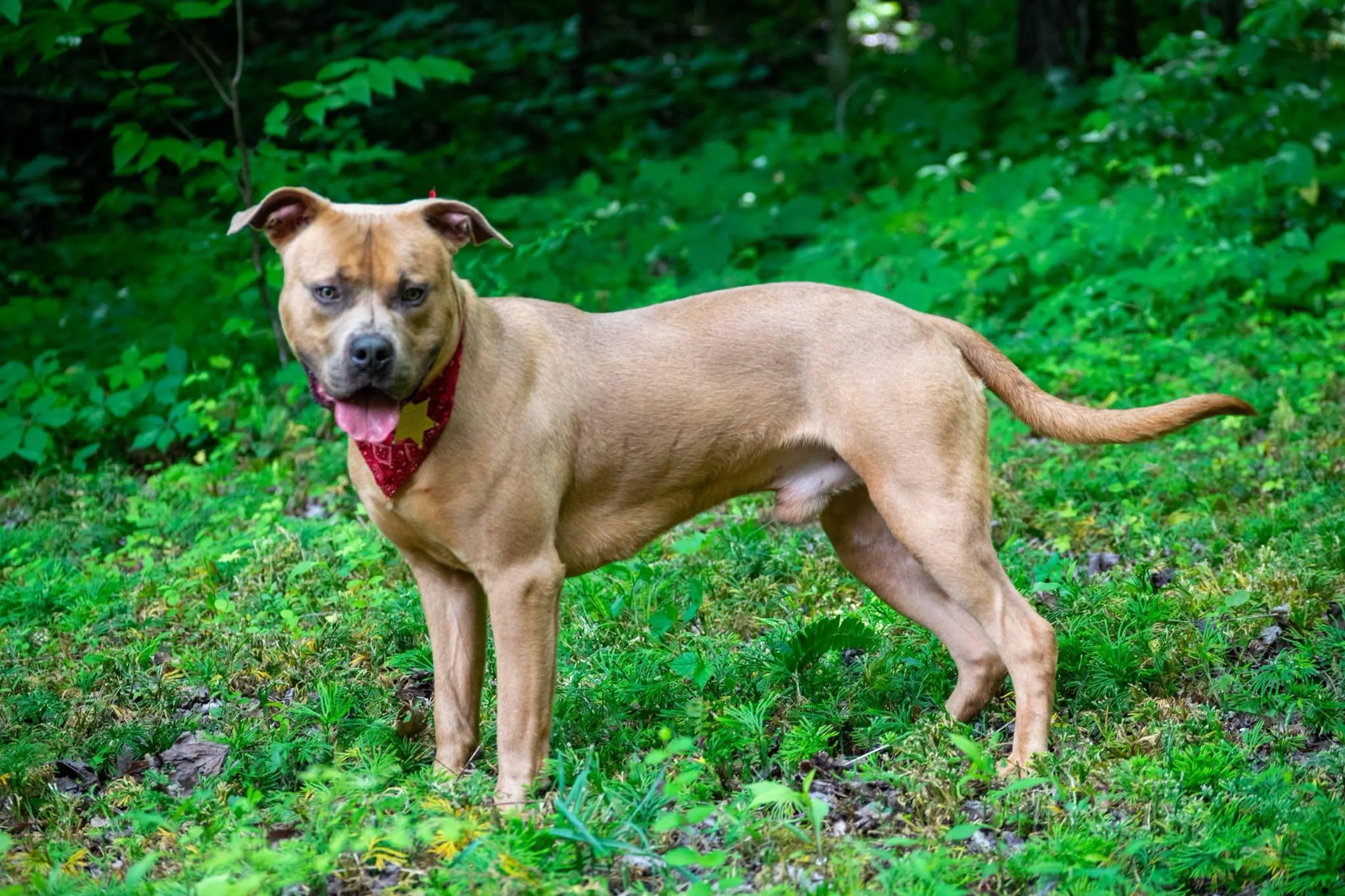 -3