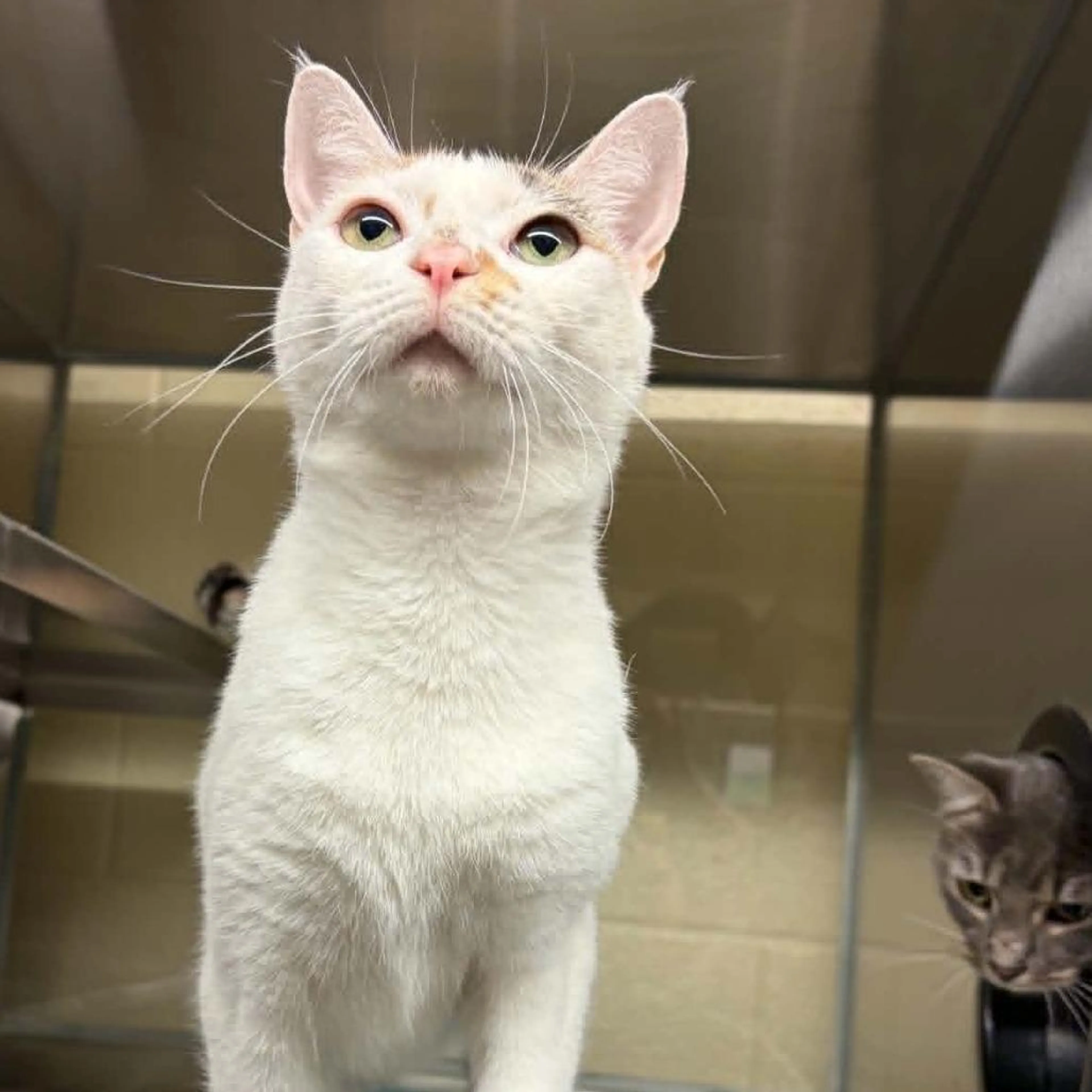 -0