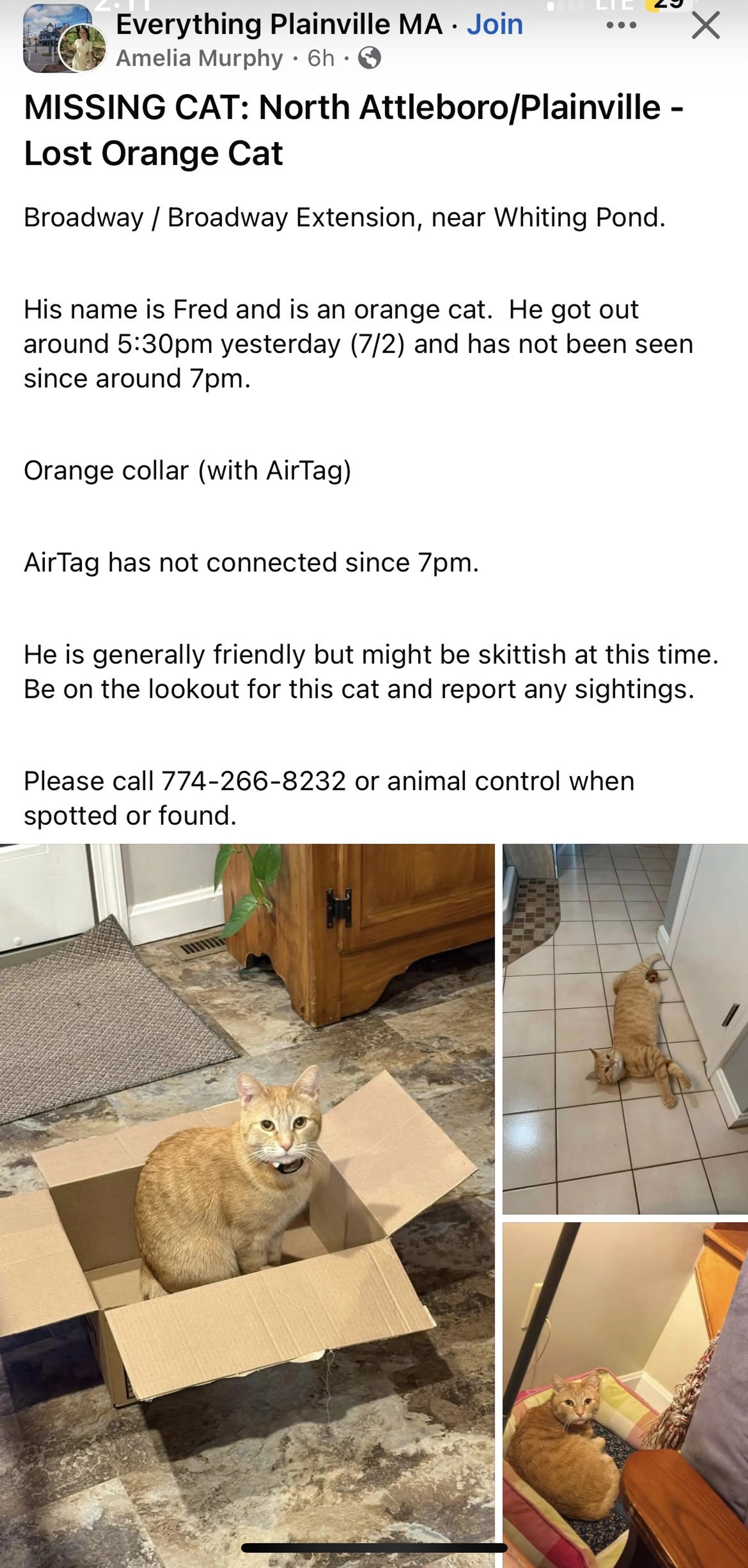 cdn image