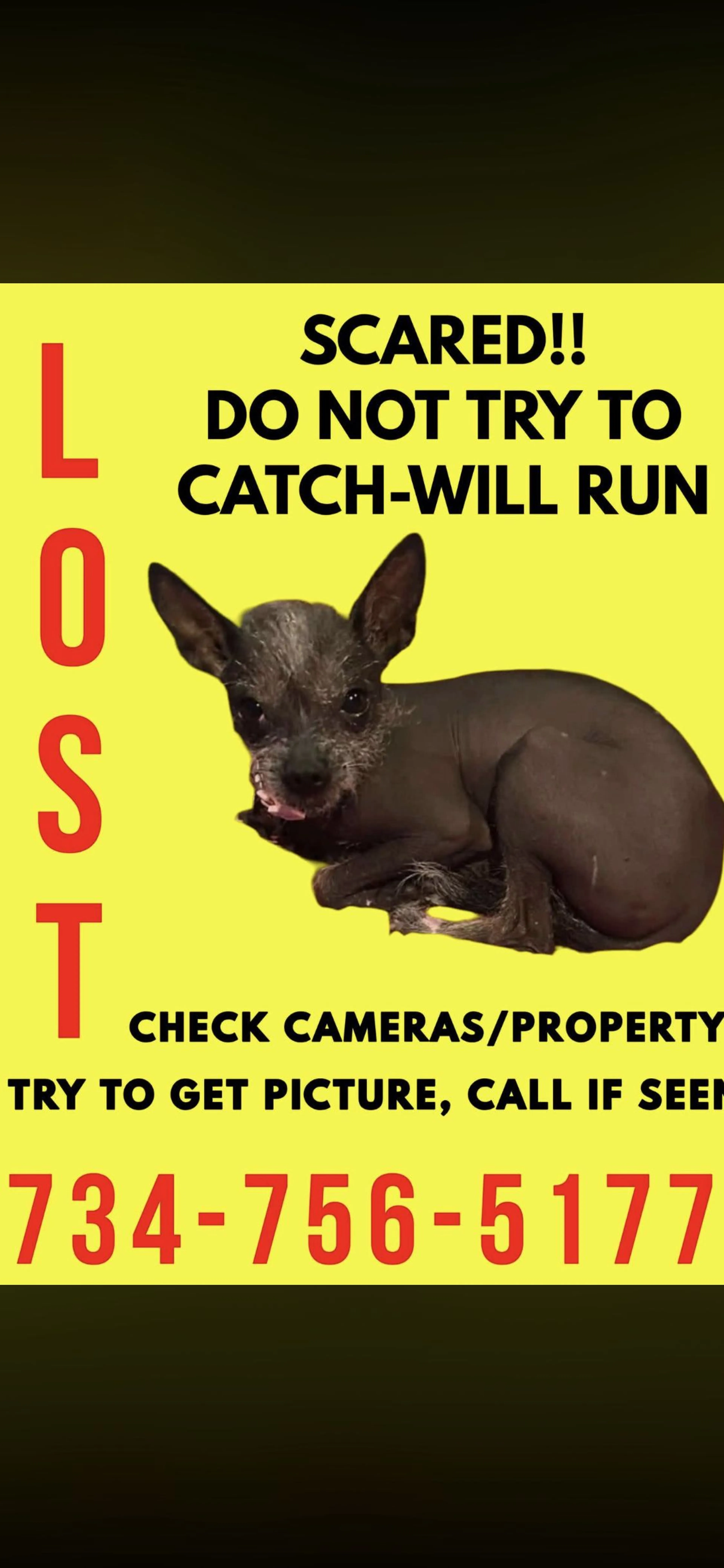 cdn image